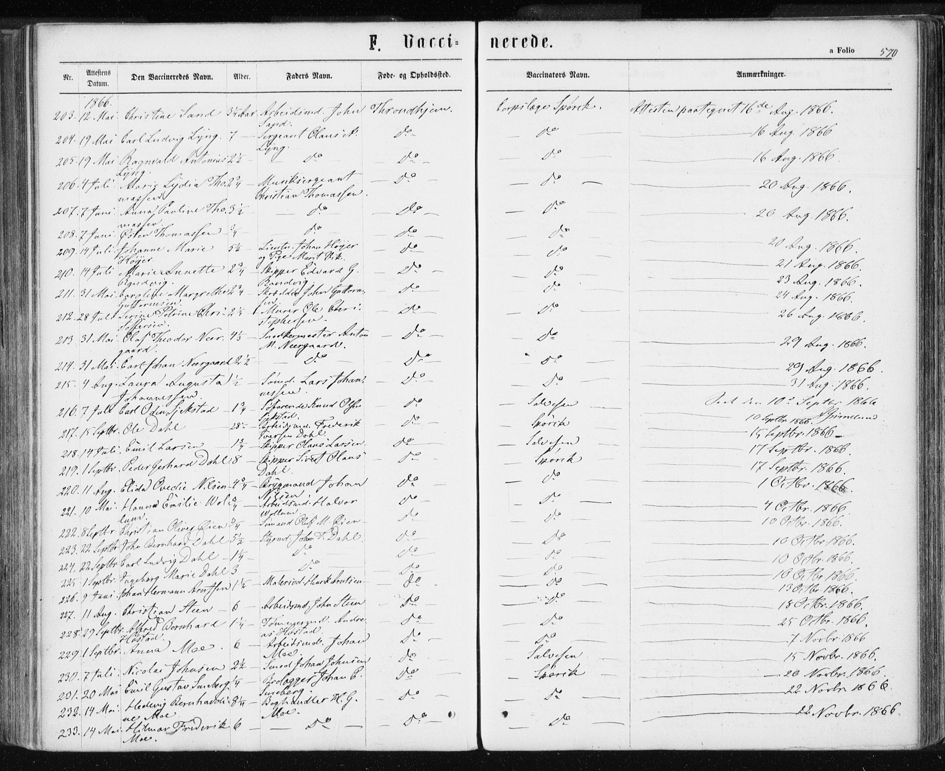 Ministerialprotokoller, klokkerbøker og fødselsregistre - Sør-Trøndelag, AV/SAT-A-1456/601/L0055: Parish register (official) no. 601A23, 1866-1877, p. 570