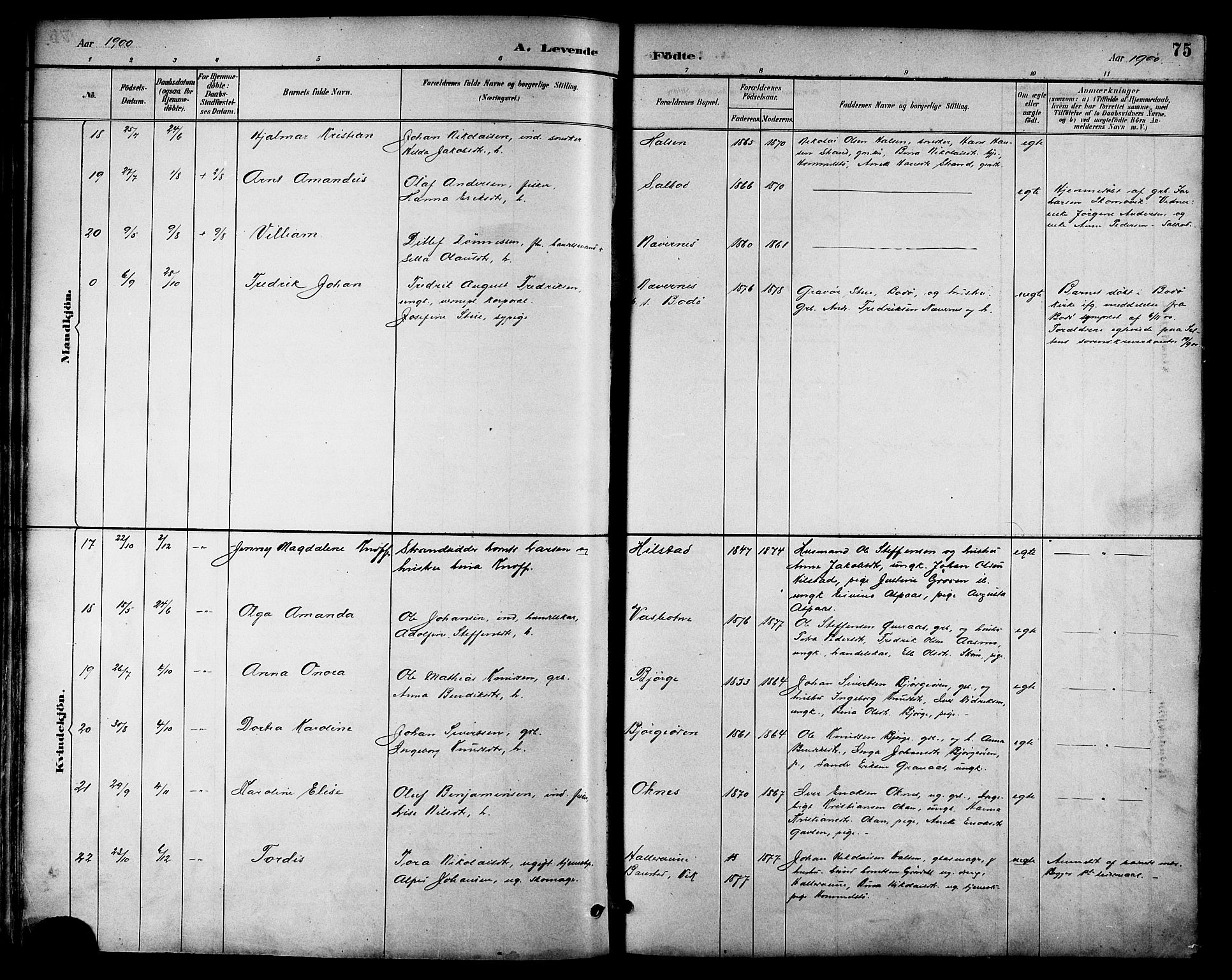 Ministerialprotokoller, klokkerbøker og fødselsregistre - Nordland, AV/SAT-A-1459/814/L0230: Parish register (copy) no. 814C03, 1884-1911, p. 75