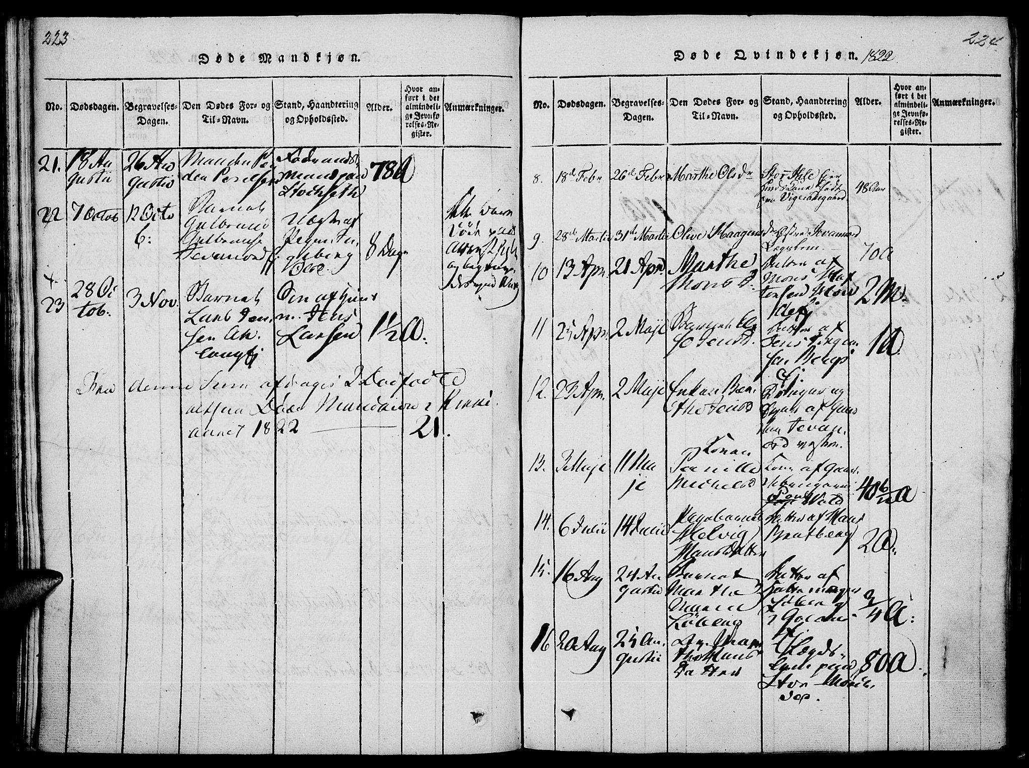 Vang prestekontor, Hedmark, SAH/PREST-008/H/Ha/Haa/L0008: Parish register (official) no. 8, 1815-1826, p. 223-224