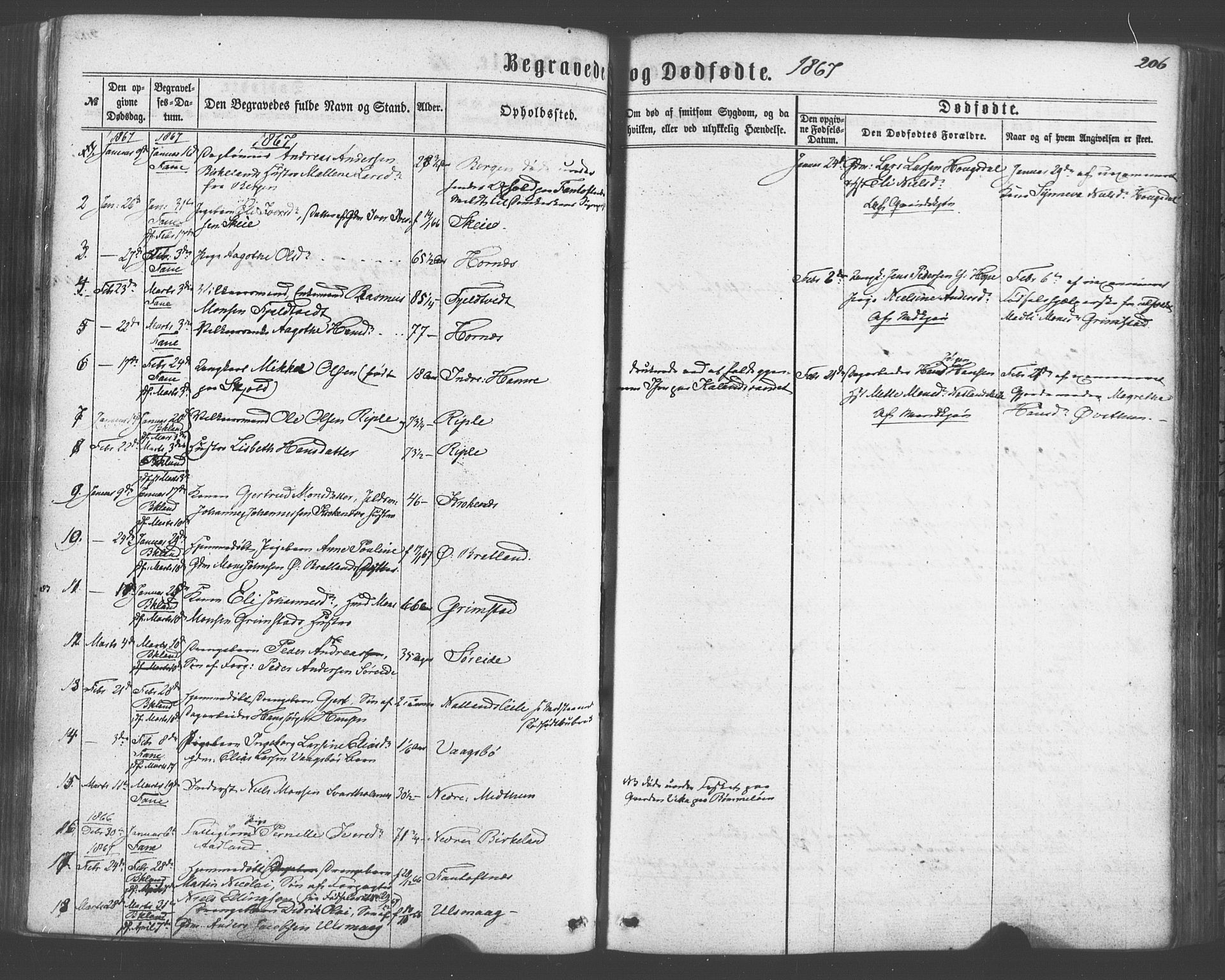 Fana Sokneprestembete, SAB/A-75101/H/Haa/Haaa/L0012: Parish register (official) no. A 12, 1862-1878, p. 206