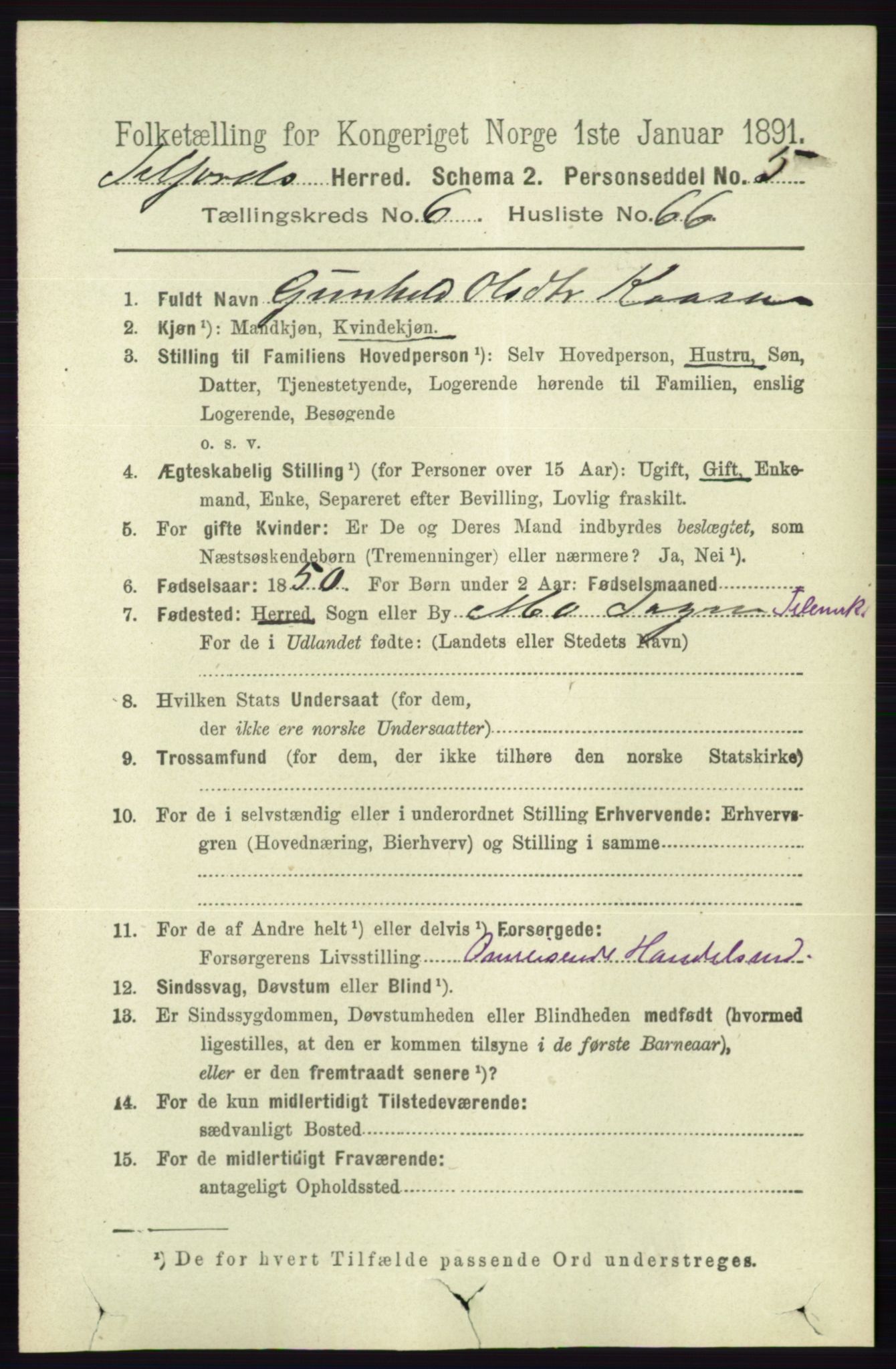 RA, 1891 census for 0828 Seljord, 1891, p. 2553