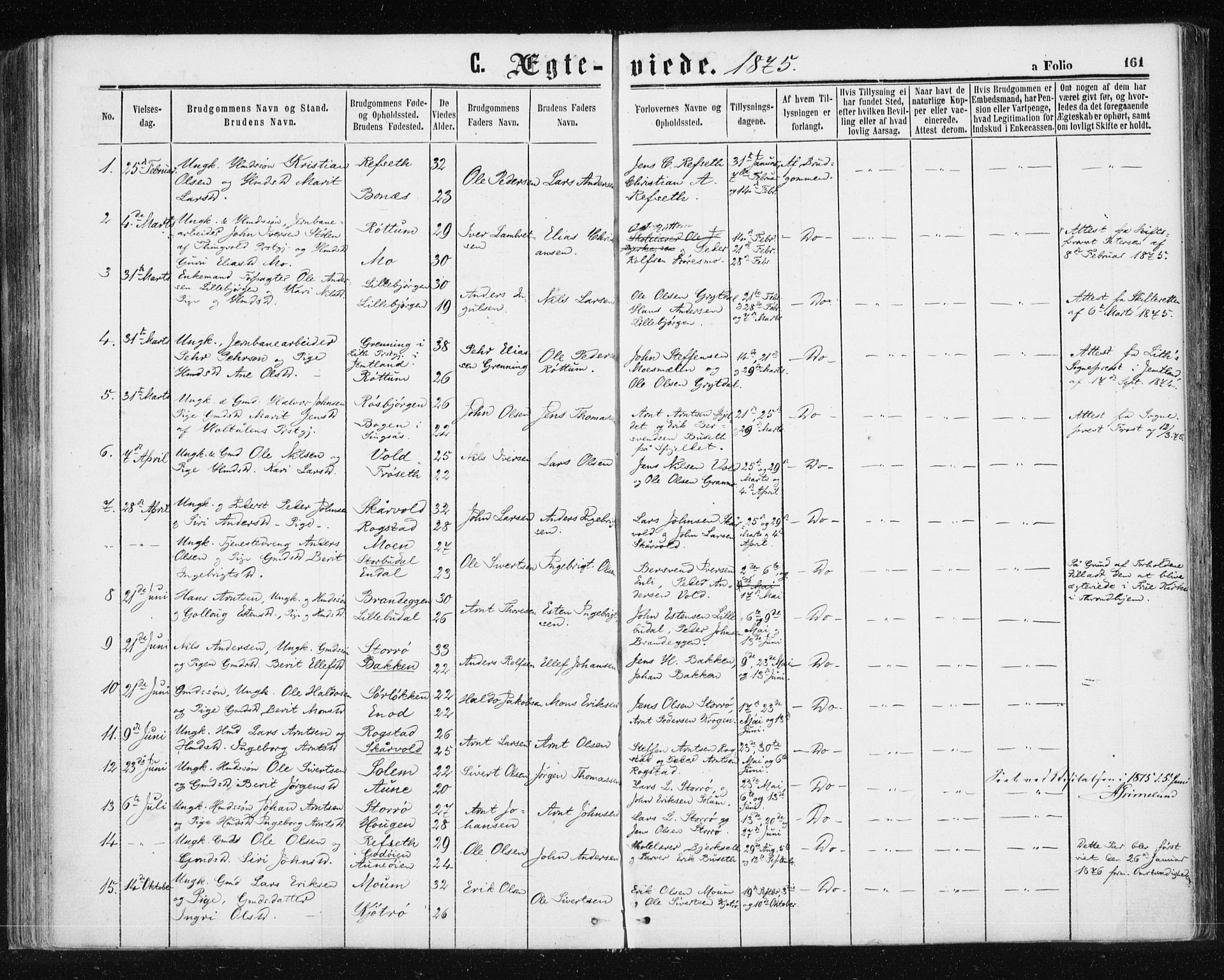Ministerialprotokoller, klokkerbøker og fødselsregistre - Sør-Trøndelag, SAT/A-1456/687/L1001: Parish register (official) no. 687A07, 1863-1878, p. 161