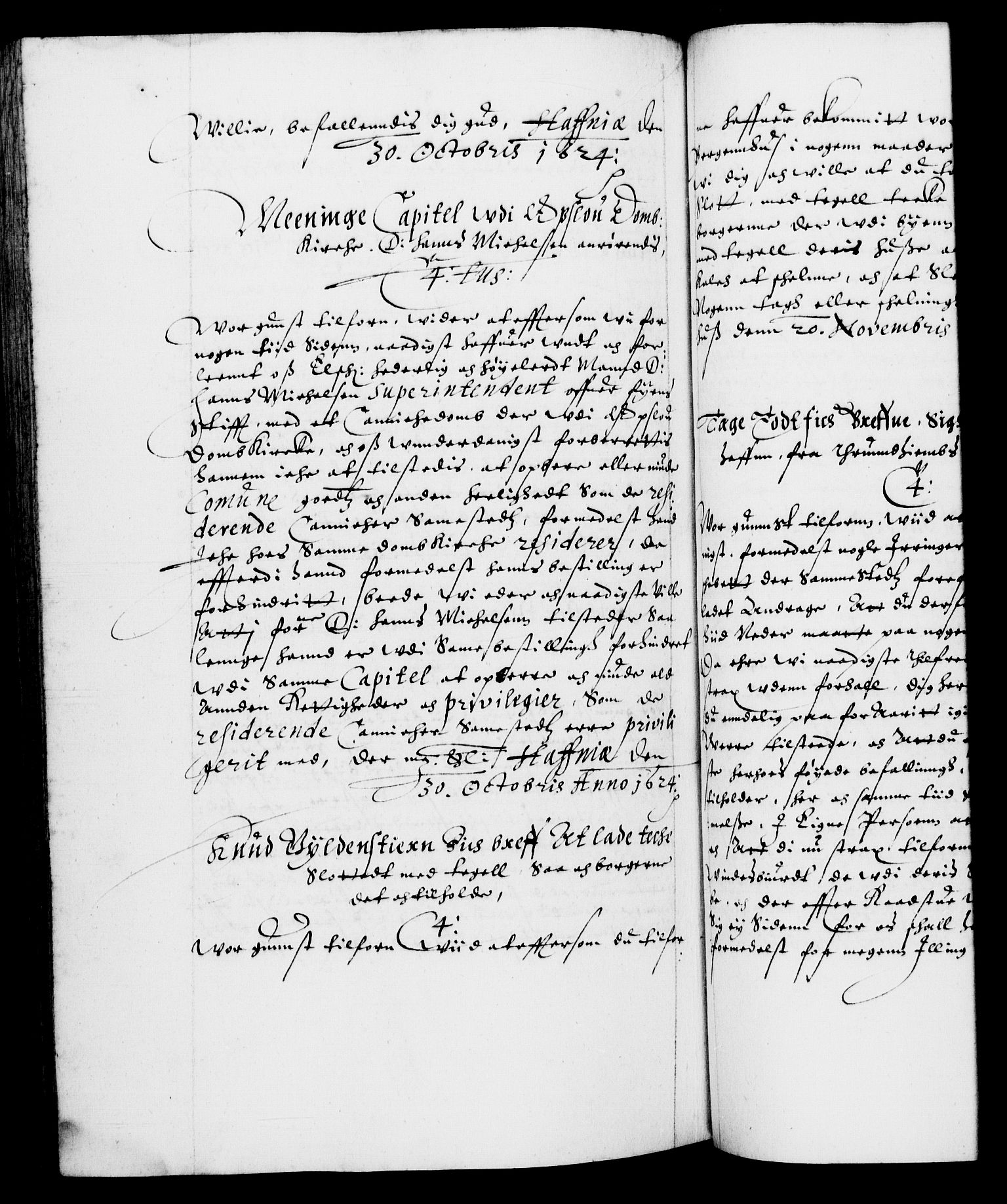 Danske Kanselli 1572-1799, AV/RA-EA-3023/F/Fc/Fca/Fcab/L0004: Norske tegnelser (mikrofilm), 1617-1627, p. 477b