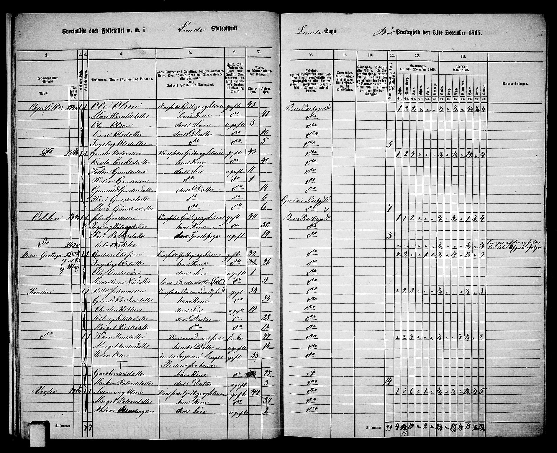 RA, 1865 census for Bø, 1865, p. 23