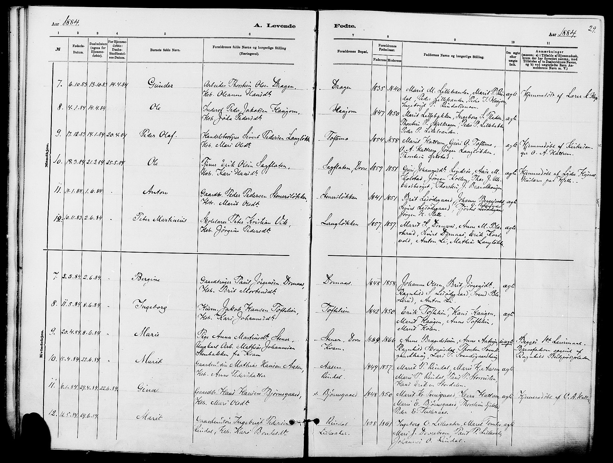 Dovre prestekontor, SAH/PREST-066/H/Ha/Haa/L0002: Parish register (official) no. 2, 1879-1890, p. 29