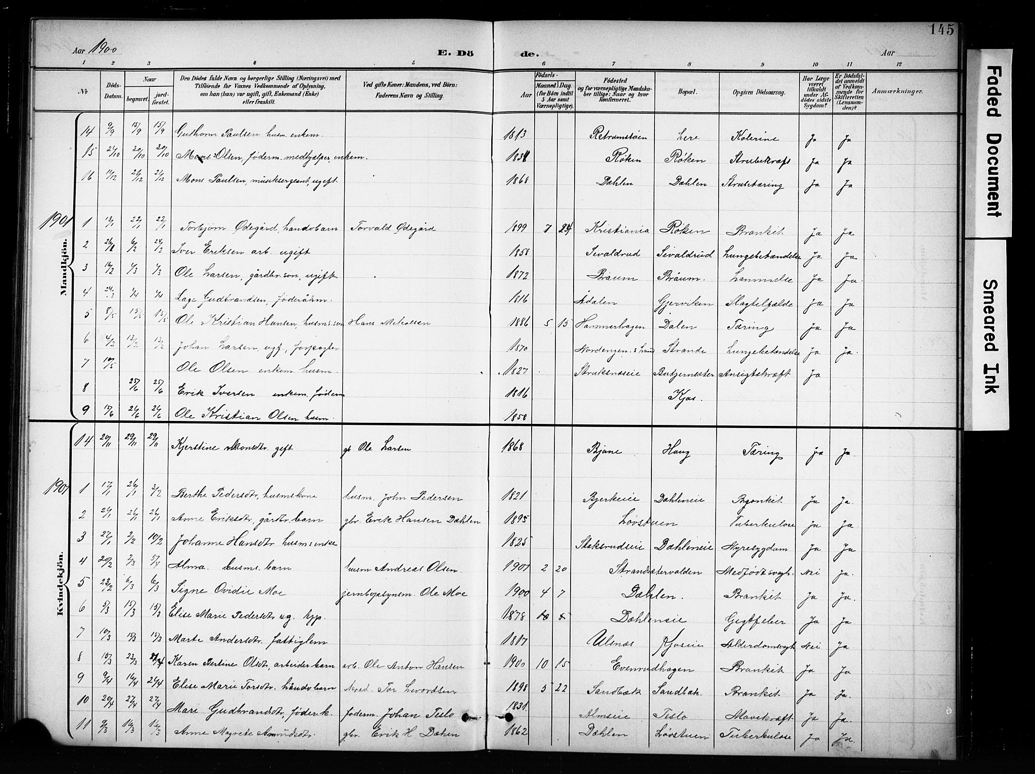 Brandbu prestekontor, SAH/PREST-114/H/Ha/Hab/L0005: Parish register (copy) no. 5, 1900-1913, p. 145
