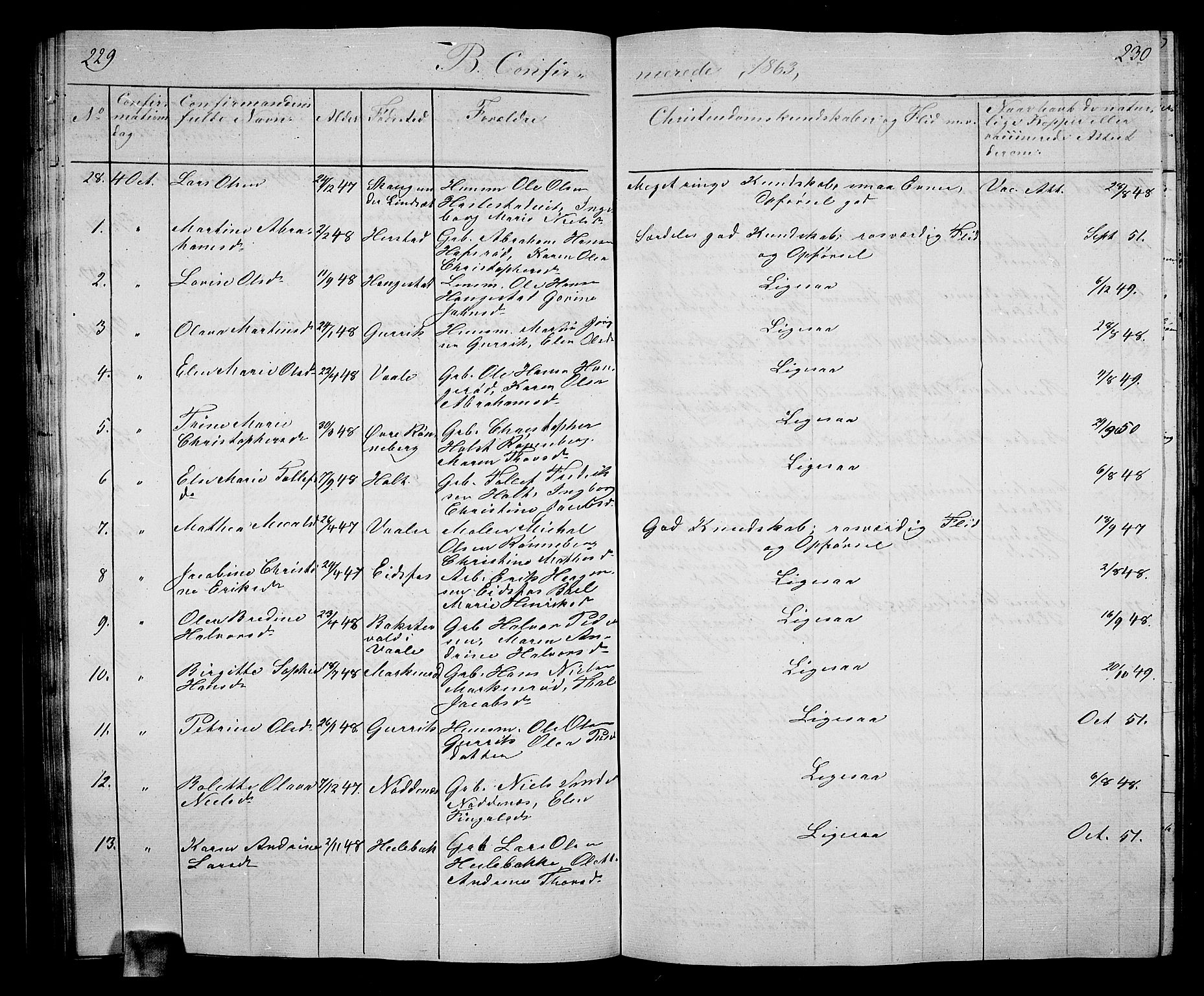 Hof kirkebøker, AV/SAKO-A-64/G/Ga/L0002: Parish register (copy) no. I 2, 1859-1873, p. 229-230