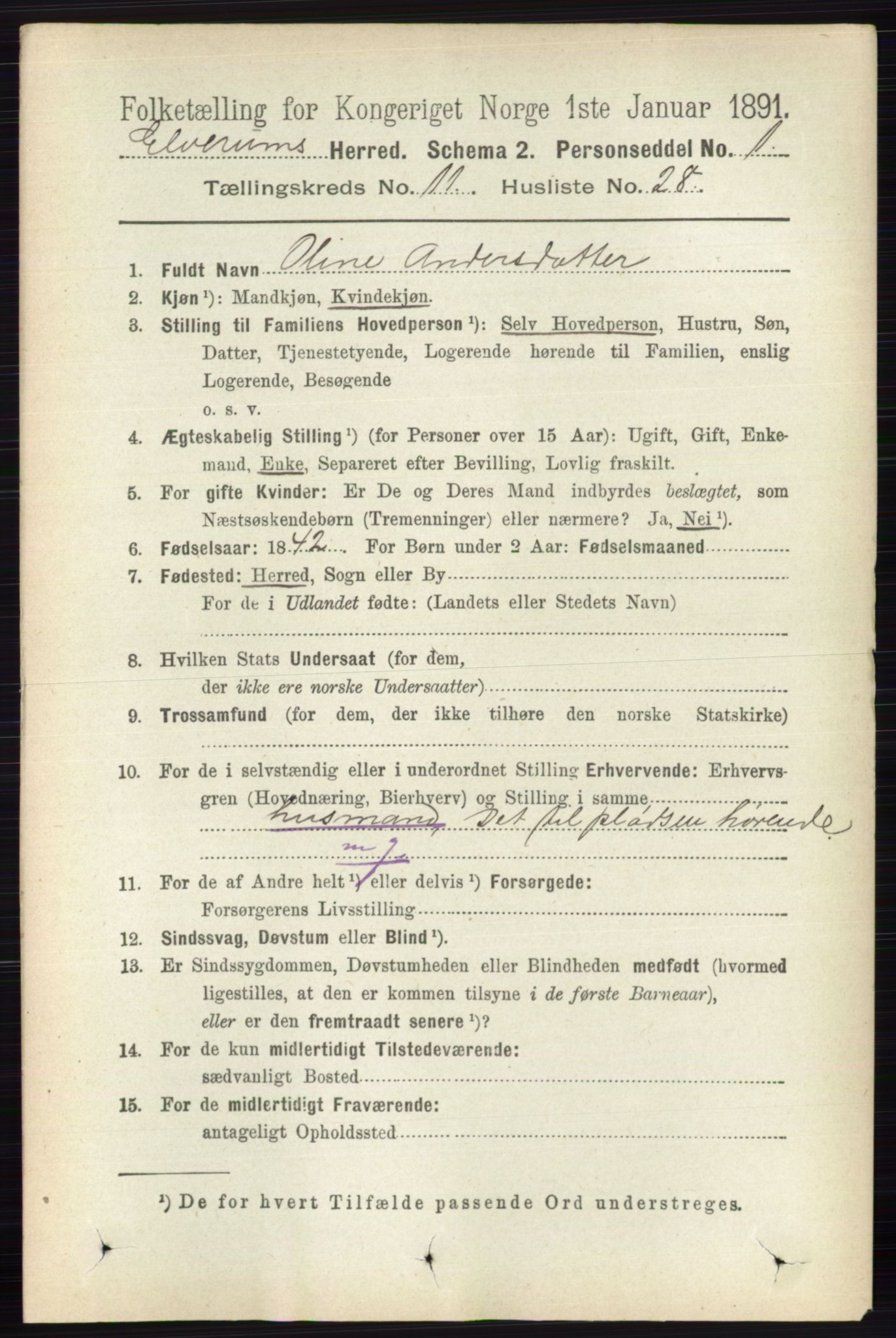 RA, 1891 census for 0427 Elverum, 1891, p. 9191