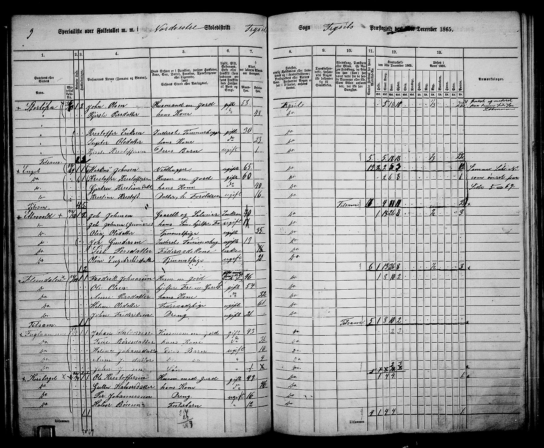 RA, 1865 census for Trysil, 1865, p. 68