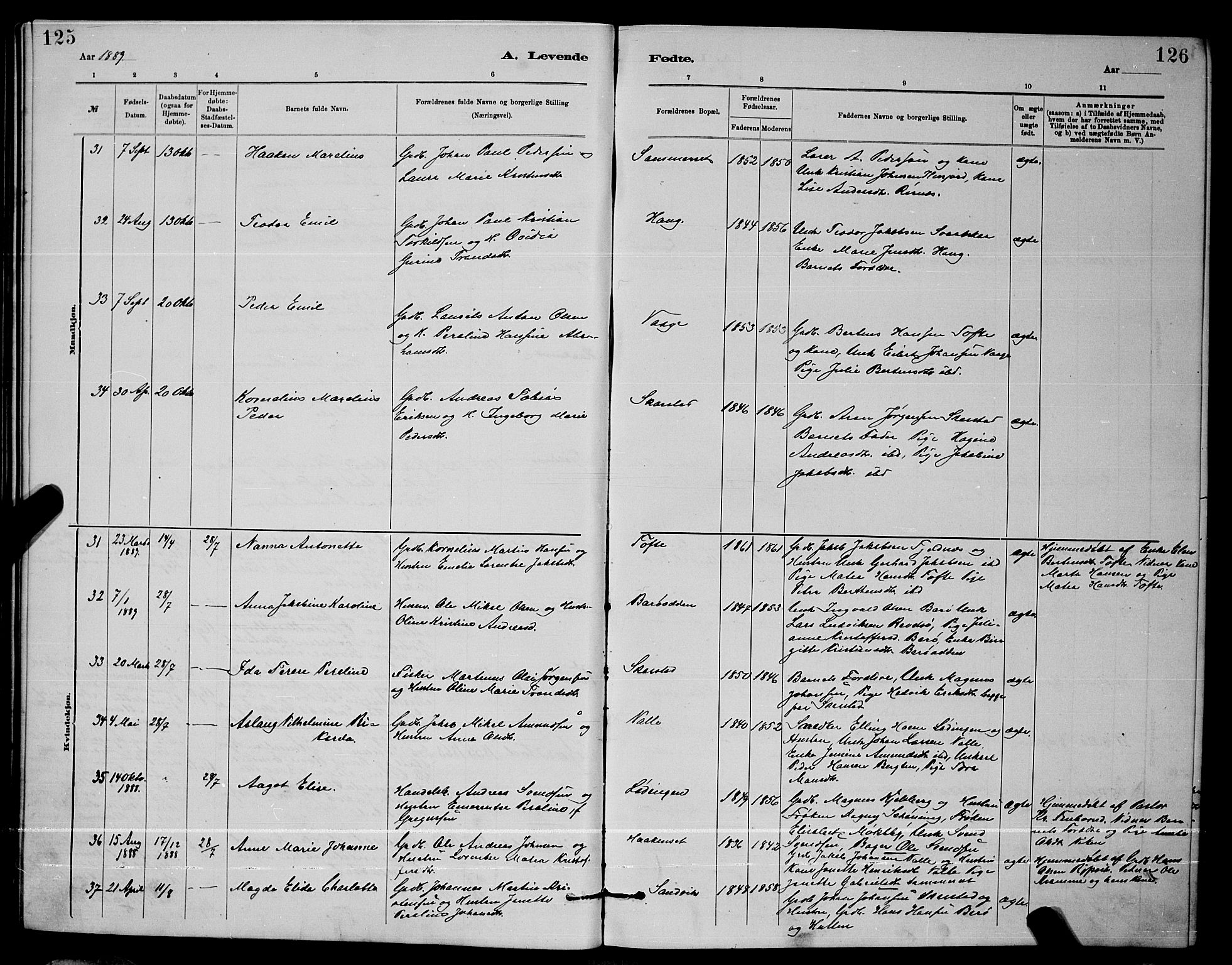 Ministerialprotokoller, klokkerbøker og fødselsregistre - Nordland, AV/SAT-A-1459/872/L1047: Parish register (copy) no. 872C03, 1880-1897, p. 125-126