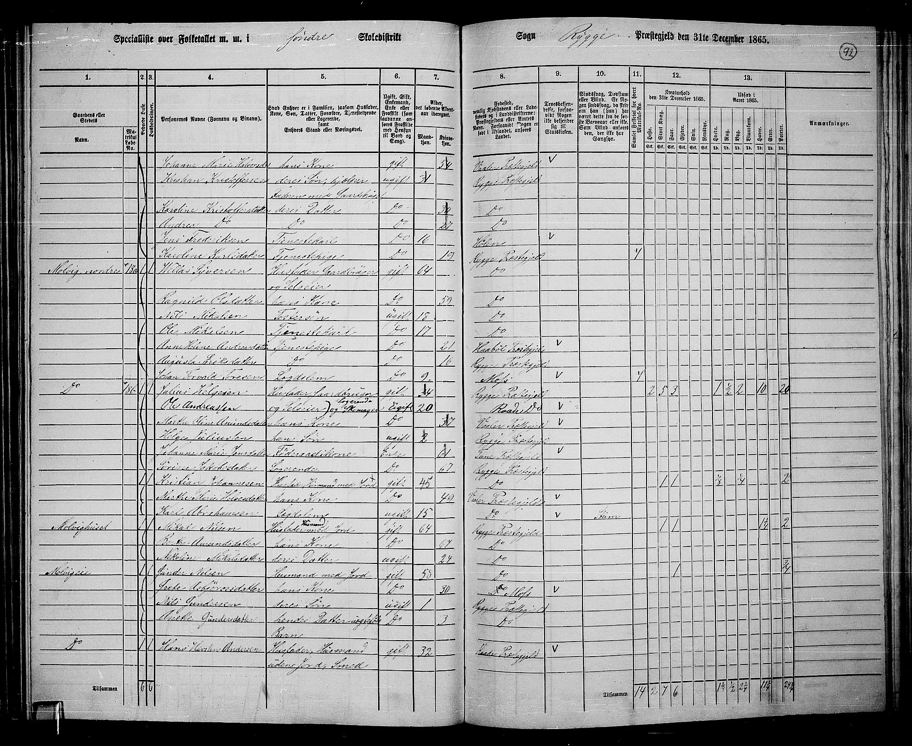 RA, 1865 census for Rygge, 1865, p. 35