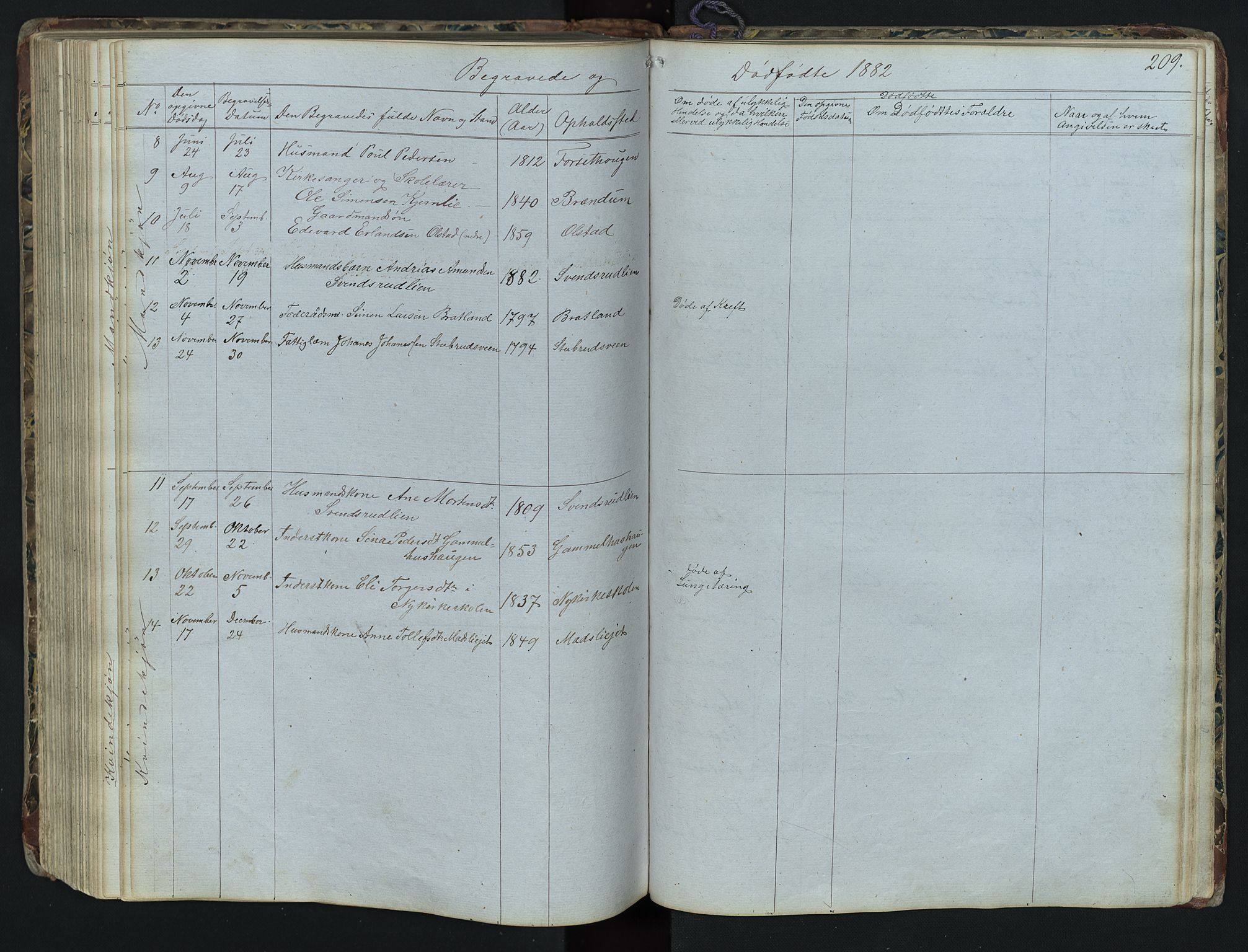 Vestre Gausdal prestekontor, SAH/PREST-094/H/Ha/Hab/L0001: Parish register (copy) no. 1, 1867-1895, p. 209
