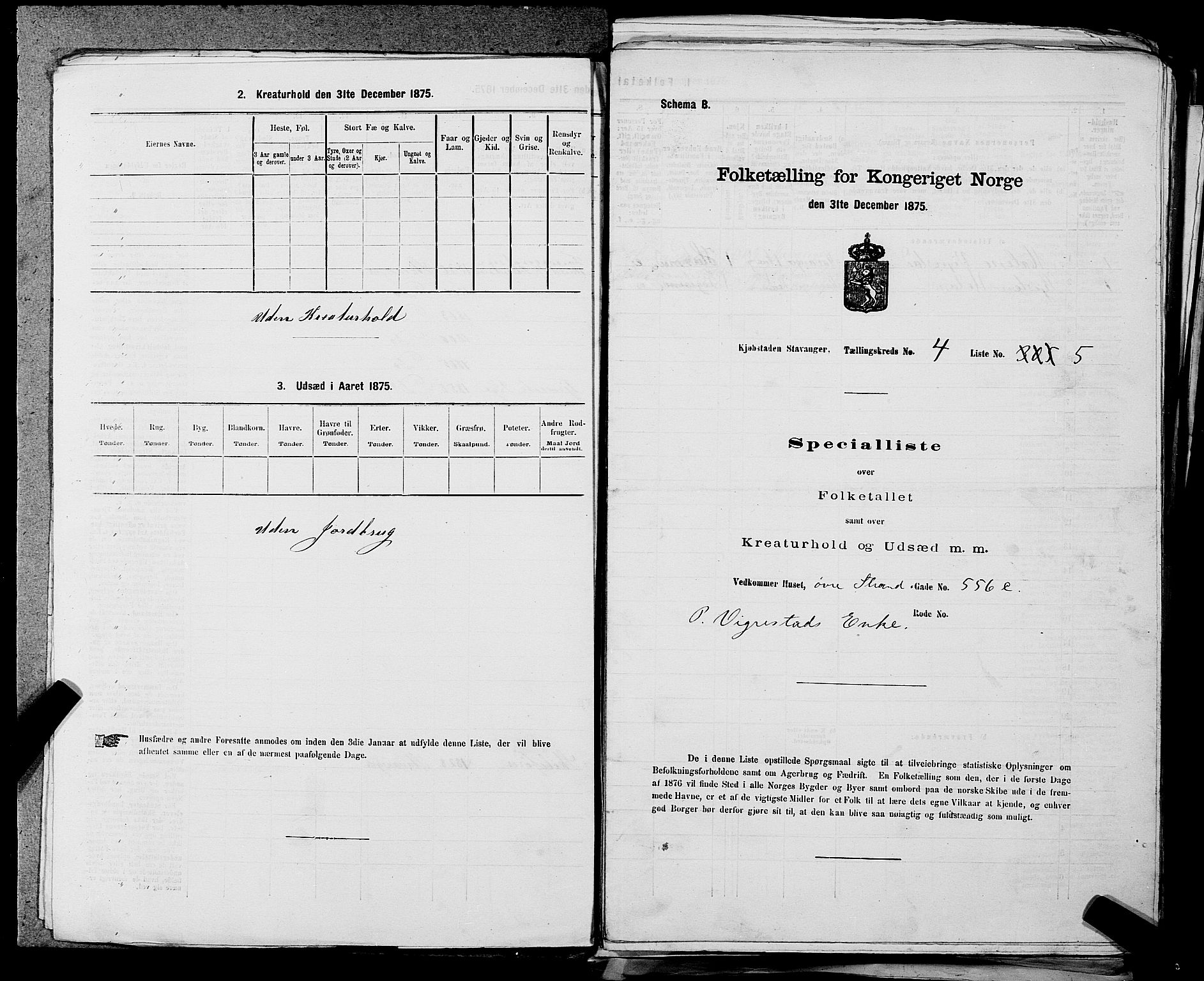 SAST, 1875 census for 1103 Stavanger, 1875, p. 651