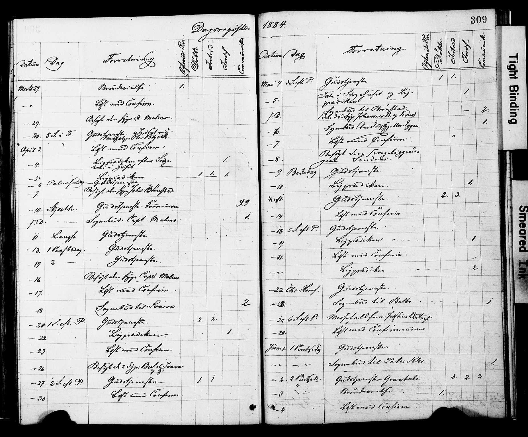 Ministerialprotokoller, klokkerbøker og fødselsregistre - Nord-Trøndelag, SAT/A-1458/749/L0473: Parish register (official) no. 749A07, 1873-1887, p. 309