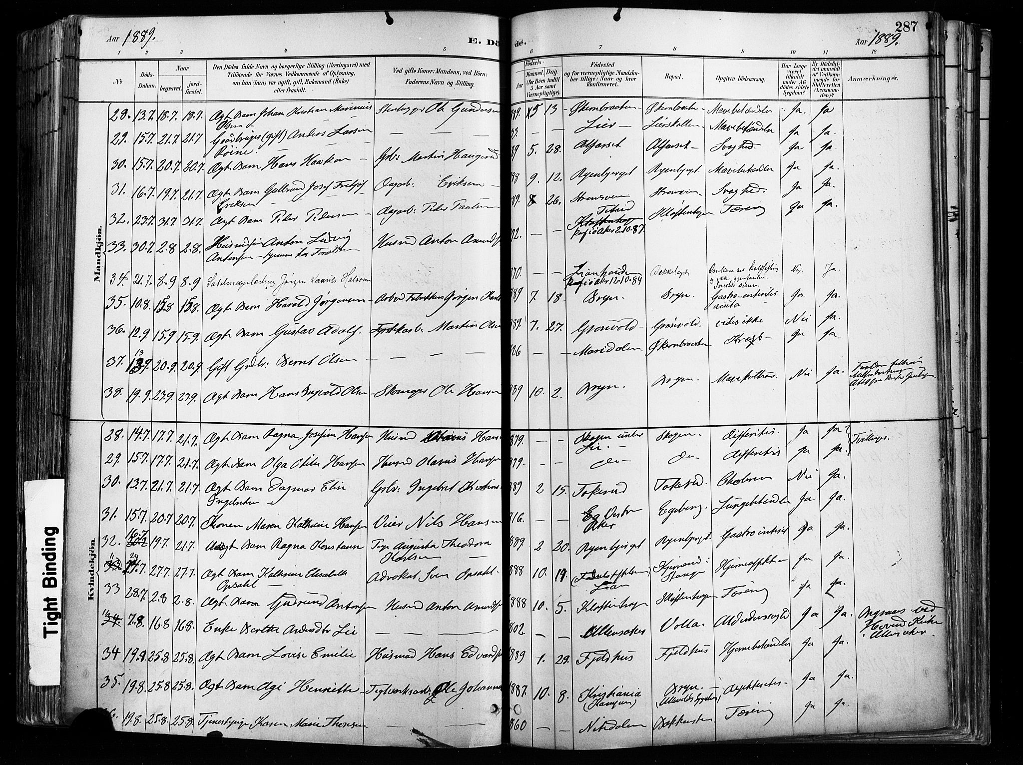 Østre Aker prestekontor Kirkebøker, SAO/A-10840/F/Fa/L0008: Parish register (official) no. I 8, 1883-1894, p. 287