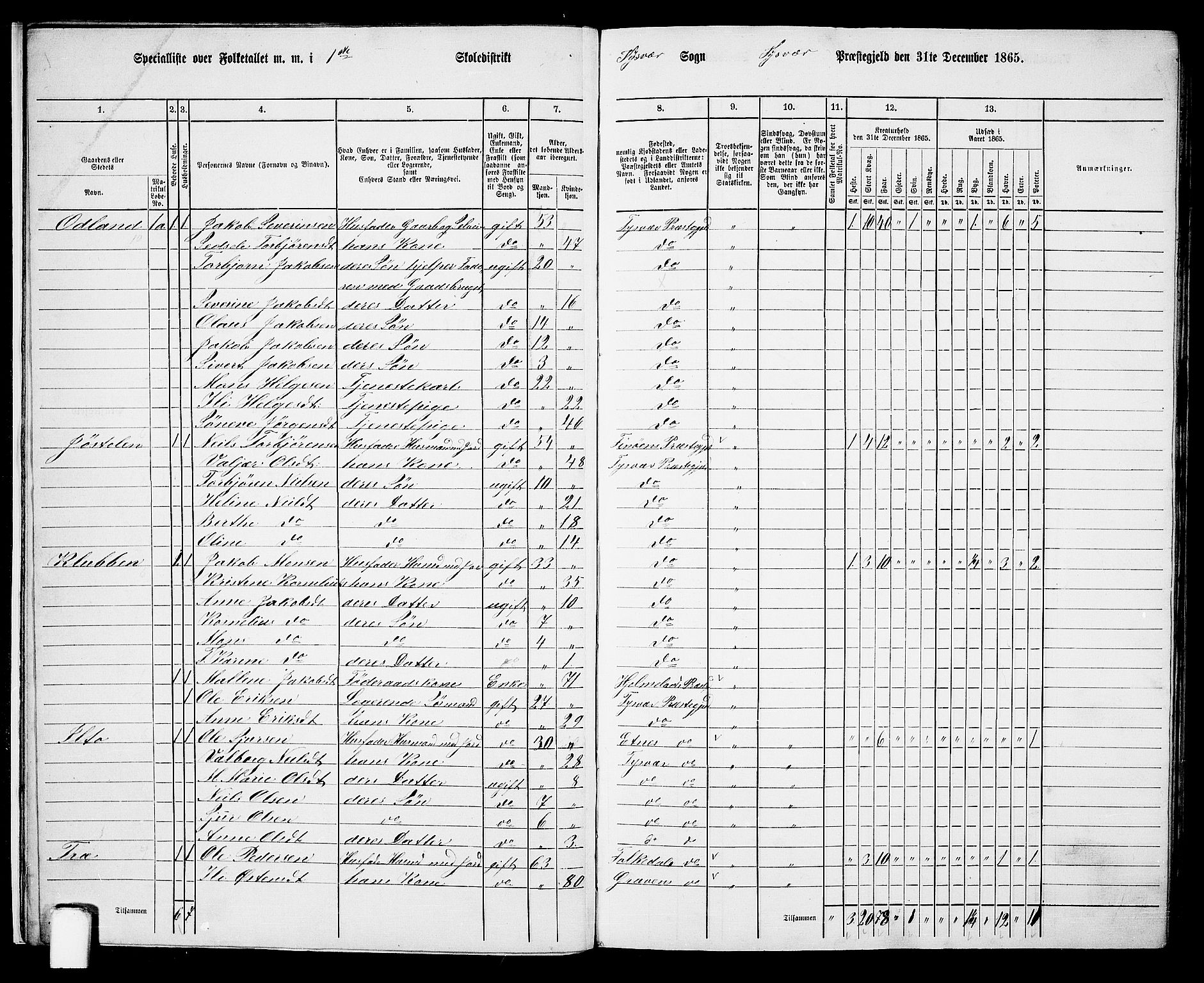 RA, 1865 census for Tysvær, 1865, p. 11