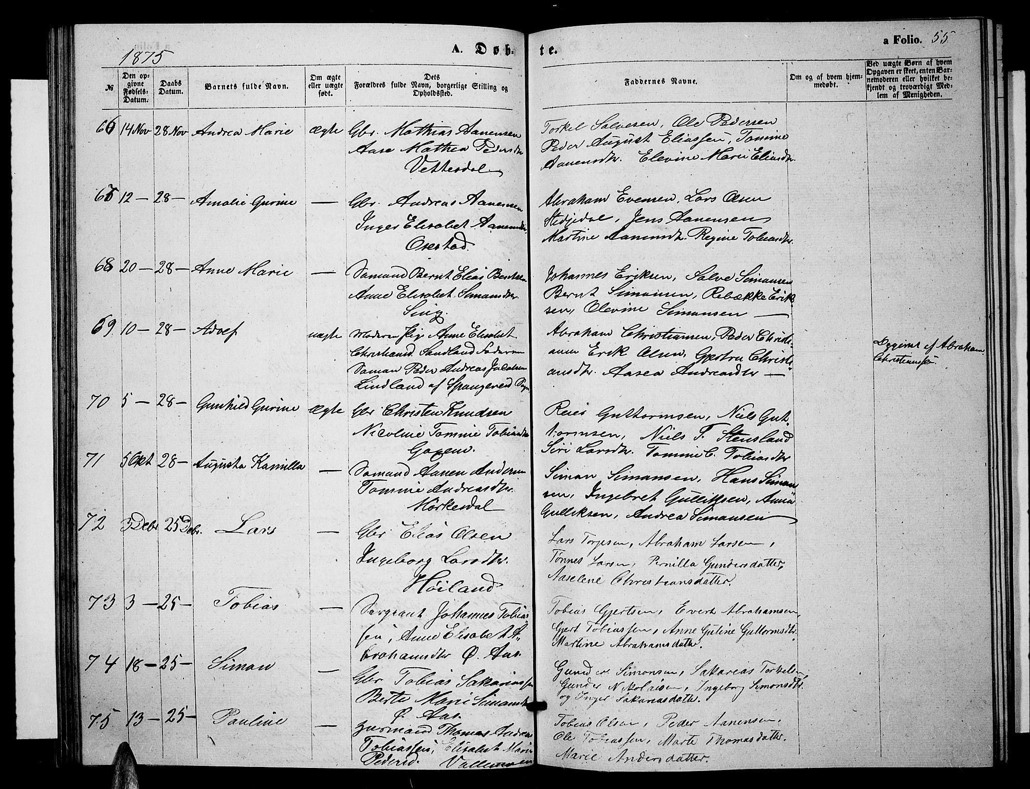 Sør-Audnedal sokneprestkontor, AV/SAK-1111-0039/F/Fb/Fbb/L0004: Parish register (copy) no. B 4, 1868-1879, p. 55