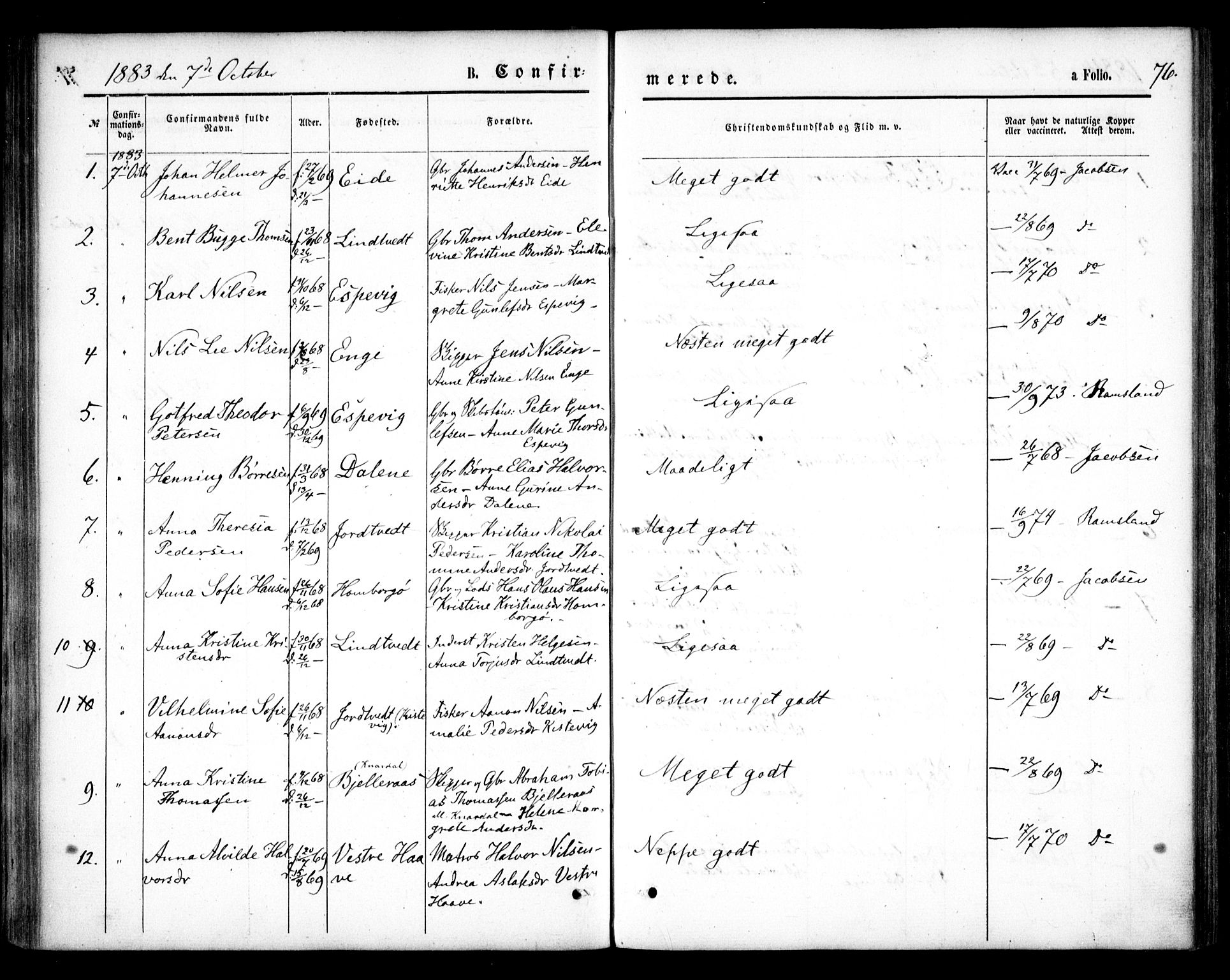 Hommedal sokneprestkontor, SAK/1111-0023/F/Fa/Faa/L0002: Parish register (official) no. A 2, 1861-1884, p. 76