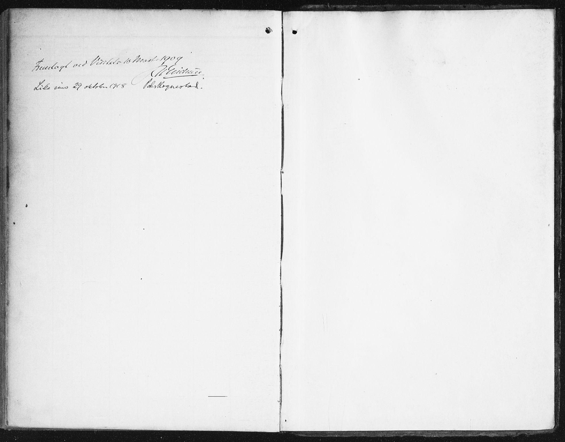 Domkirken sokneprestembete, AV/SAB-A-74801/H/Haa/L0038: Parish register (official) no. D 5, 1906-1921