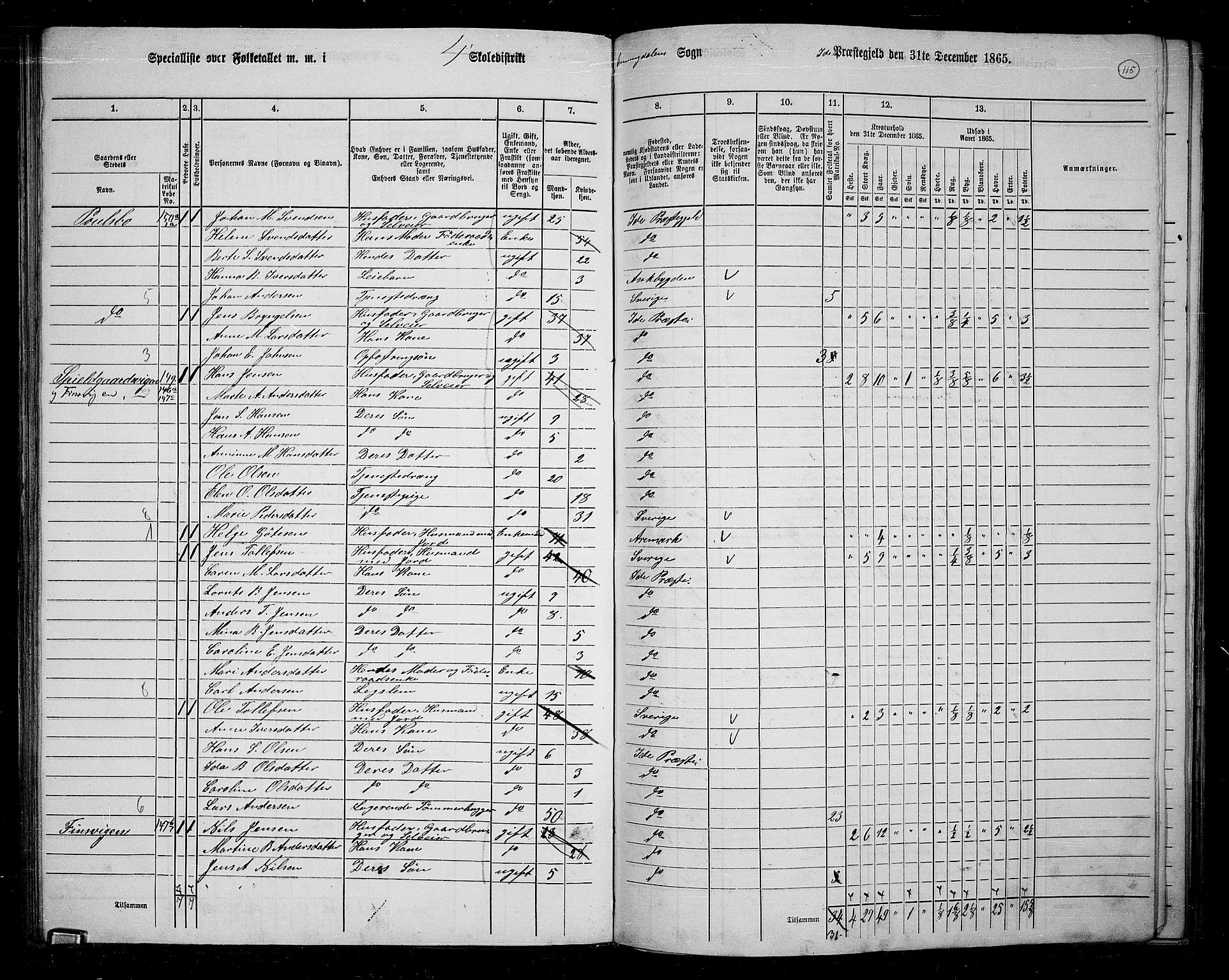 RA, 1865 census for Idd, 1865, p. 104