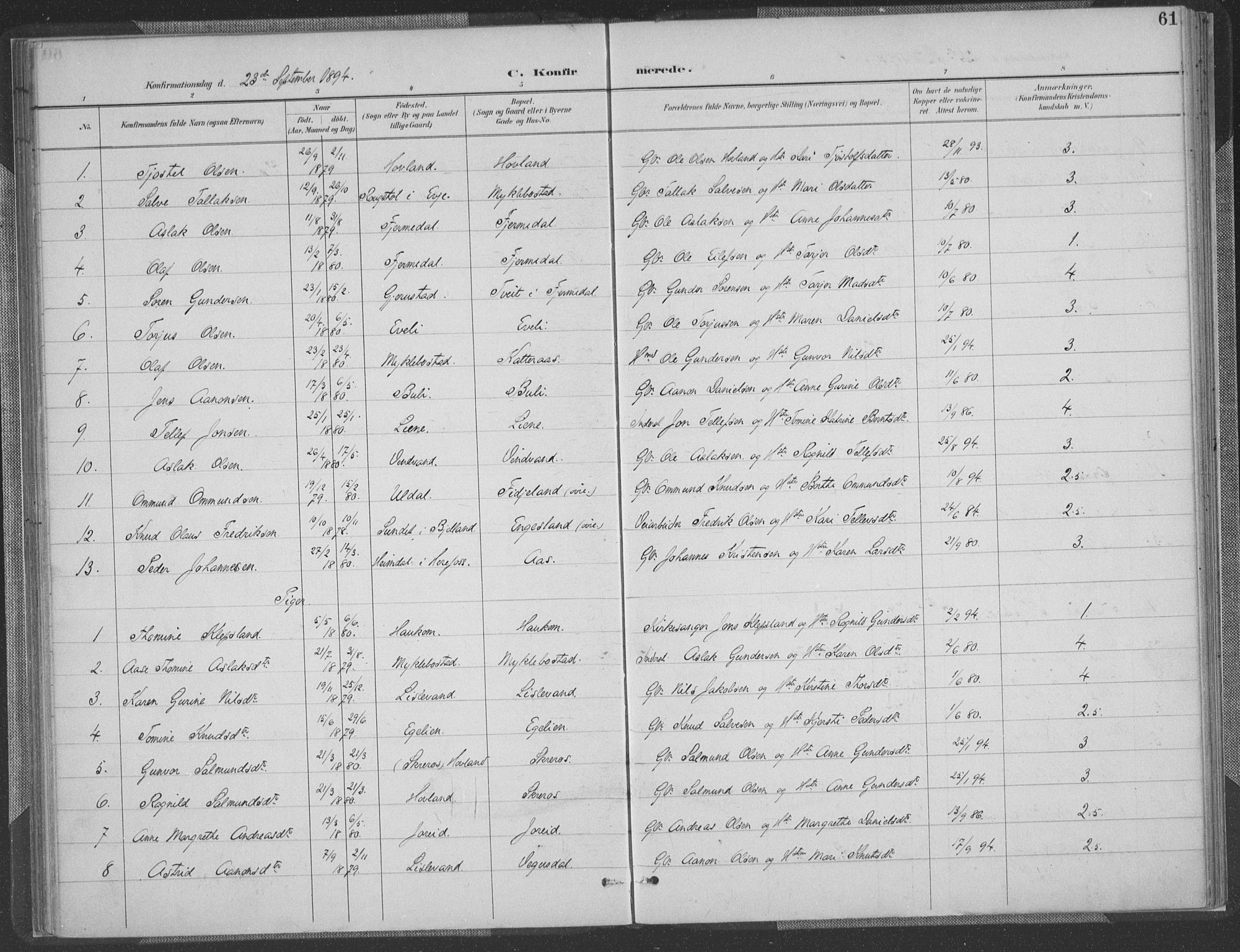 Herefoss sokneprestkontor, AV/SAK-1111-0019/F/Fa/Fab/L0004: Parish register (official) no. A 4, 1887-1909, p. 61