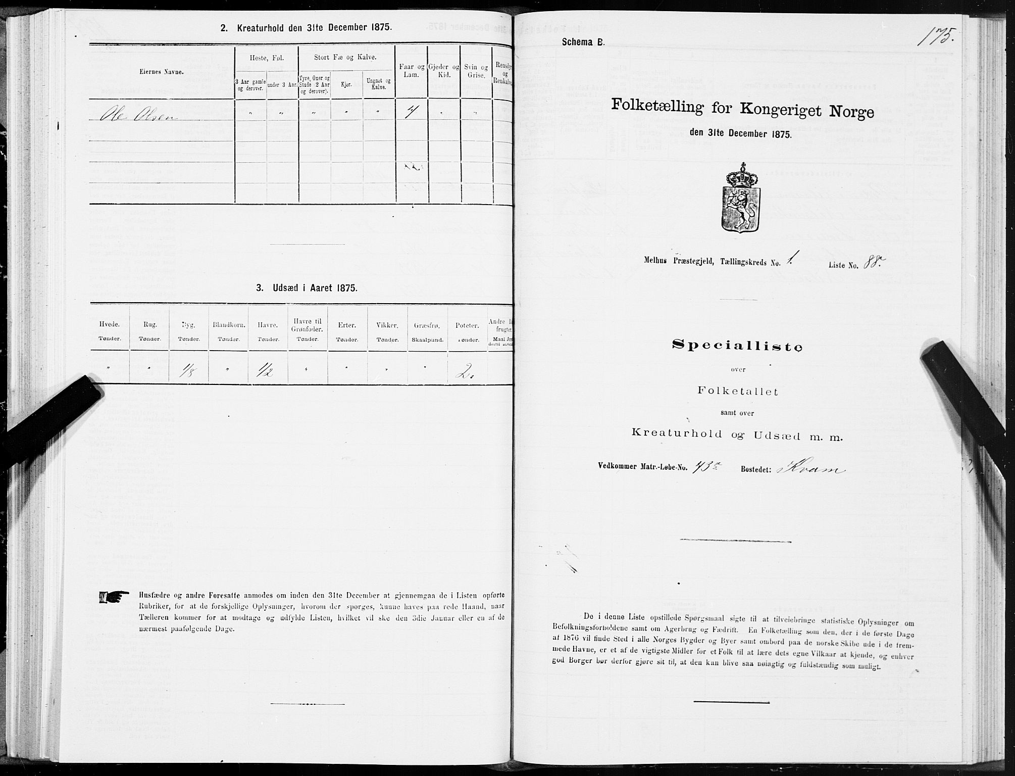 SAT, 1875 census for 1653P Melhus, 1875, p. 1175