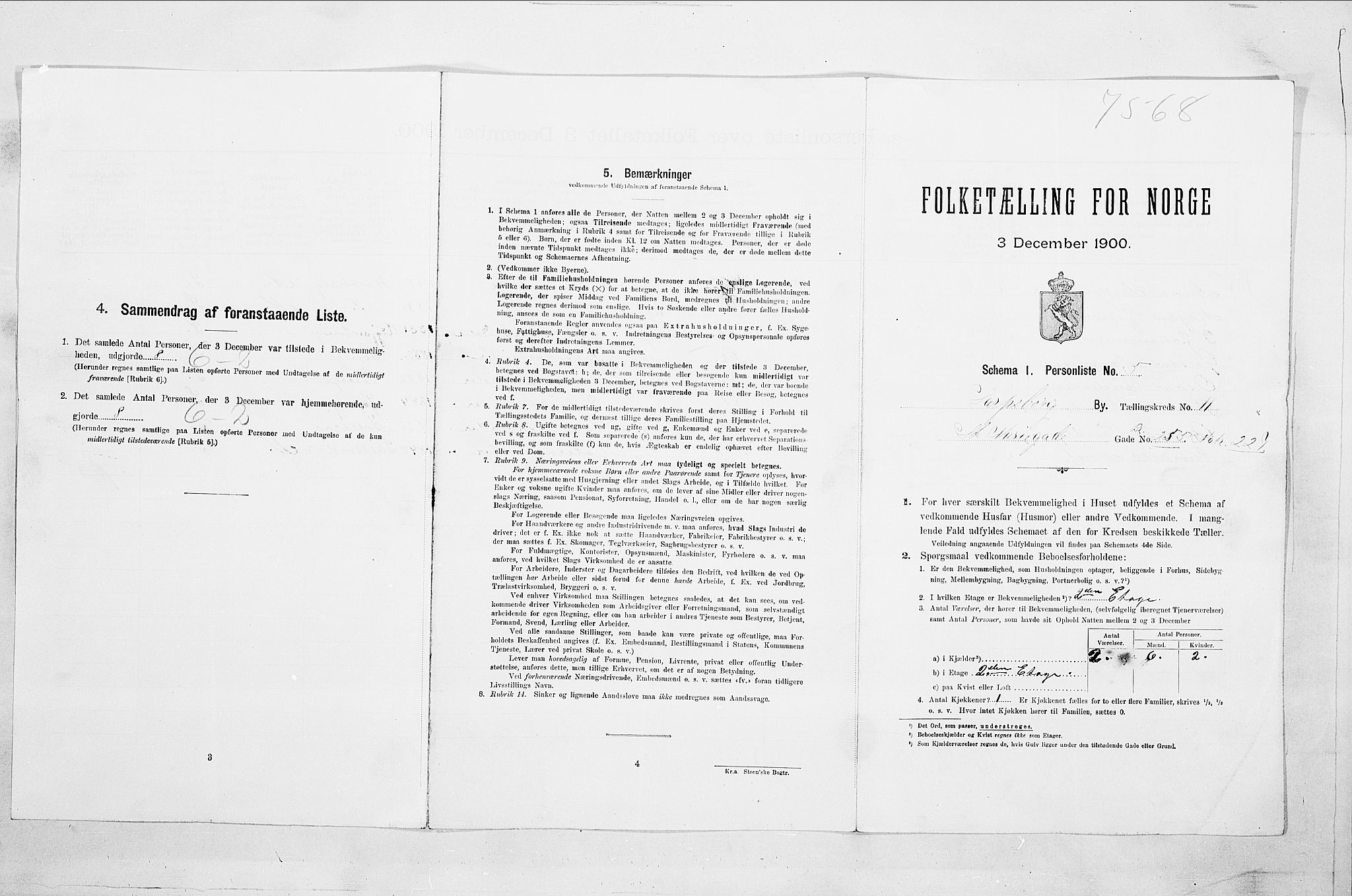 SAO, 1900 census for Sarpsborg, 1900