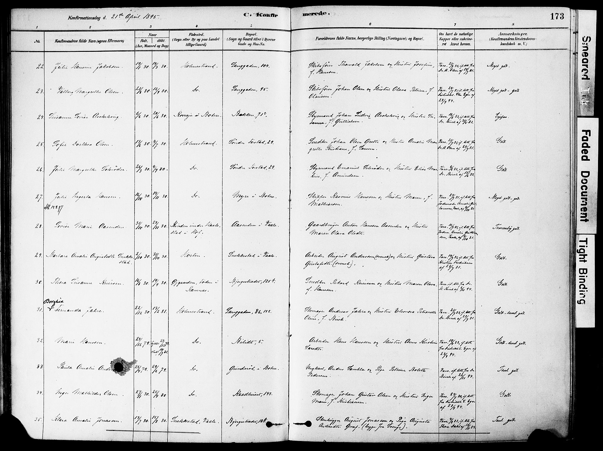 Holmestrand kirkebøker, AV/SAKO-A-346/F/Fa/L0004: Parish register (official) no. 4, 1880-1901, p. 173