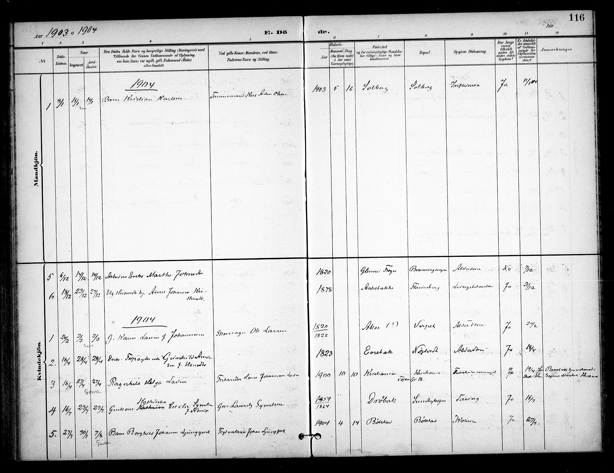 Ås prestekontor Kirkebøker, SAO/A-10894/F/Fb/L0002: Parish register (official) no. II 2, 1895-1916, p. 116
