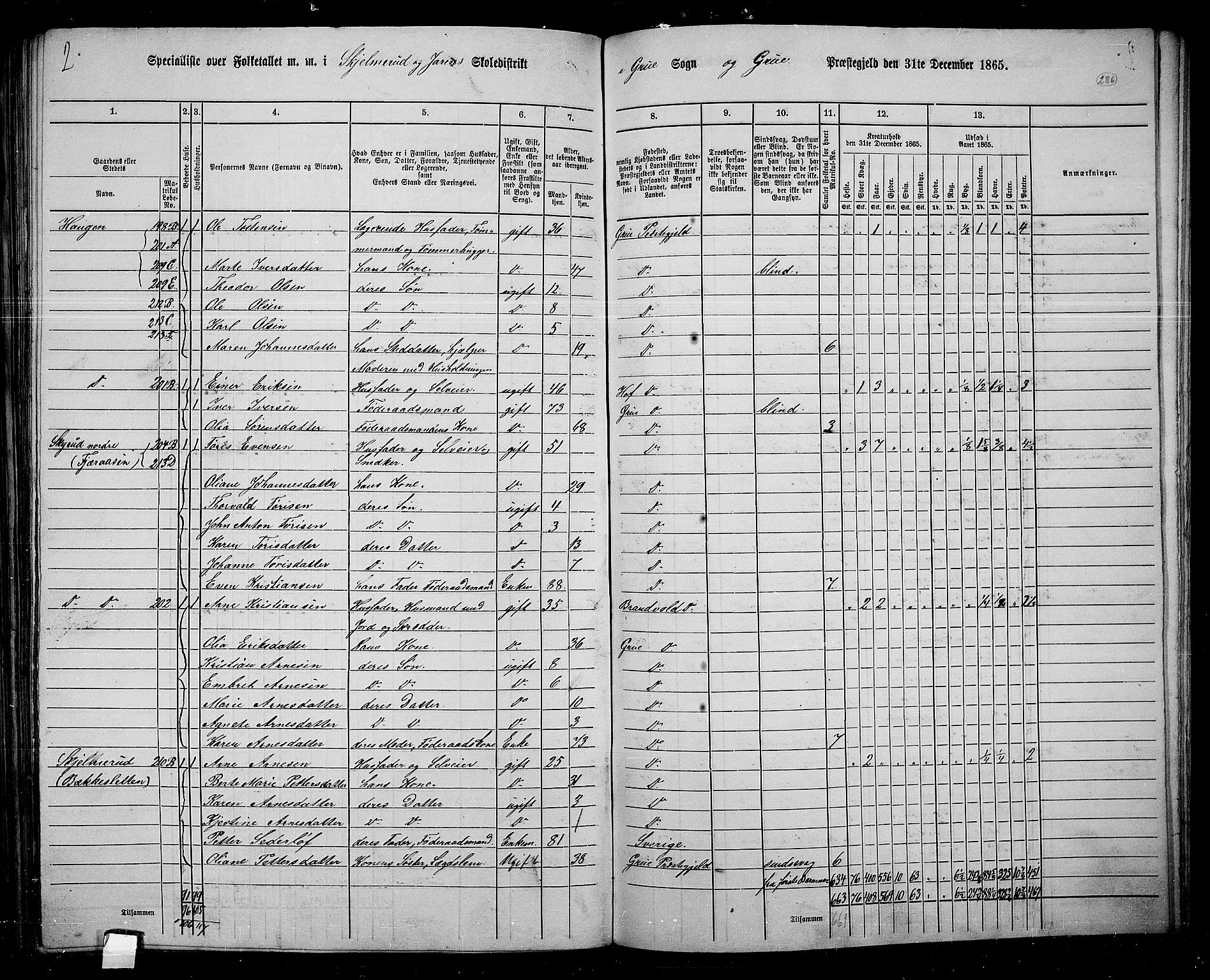 RA, 1865 census for Grue, 1865, p. 255