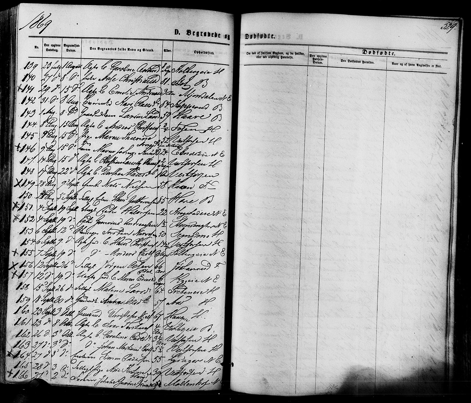 Eiker kirkebøker, AV/SAKO-A-4/F/Fa/L0017: Parish register (official) no. I 17, 1869-1877, p. 529