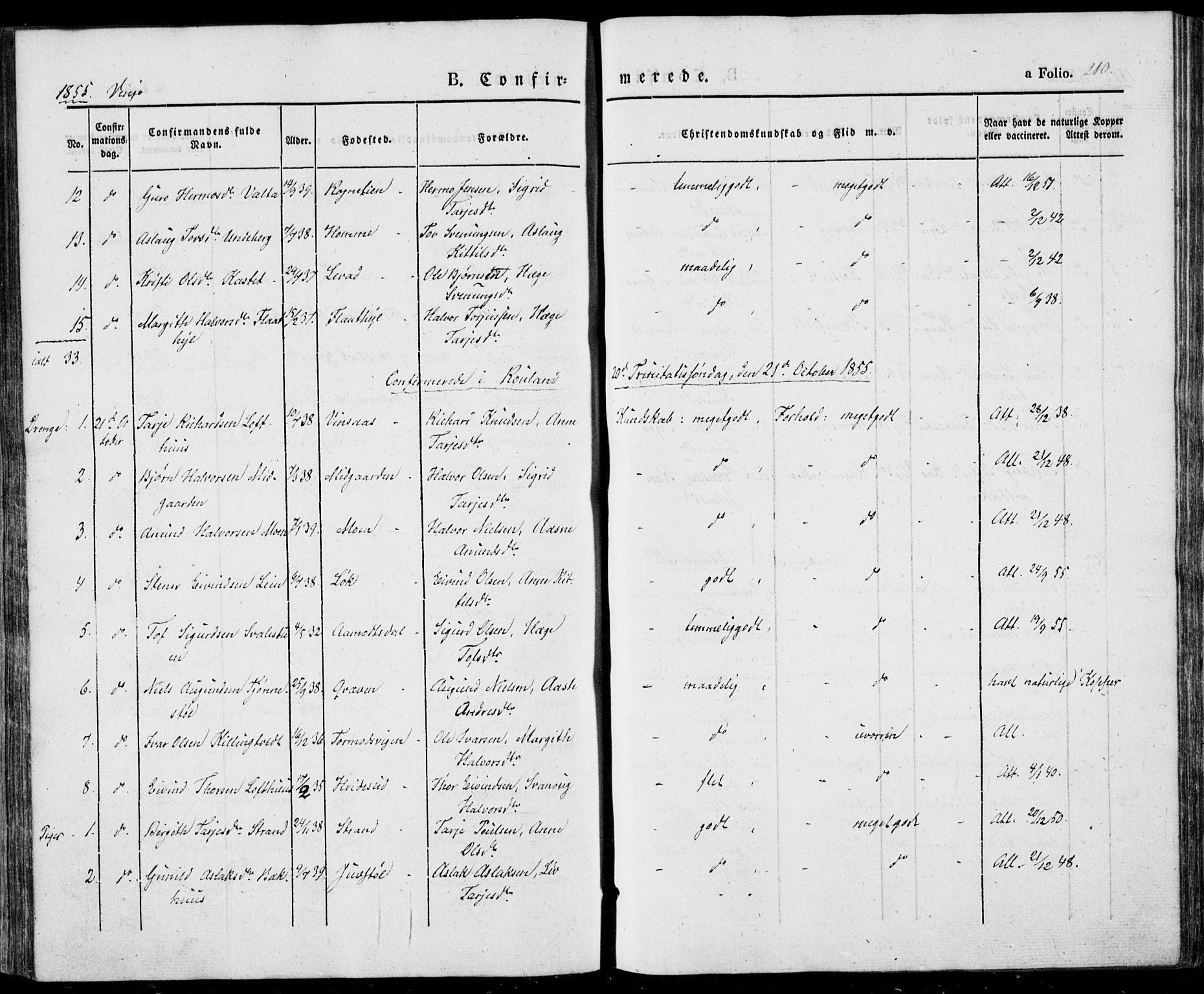 Vinje kirkebøker, AV/SAKO-A-312/F/Fa/L0004: Parish register (official) no. I 4, 1843-1869, p. 210