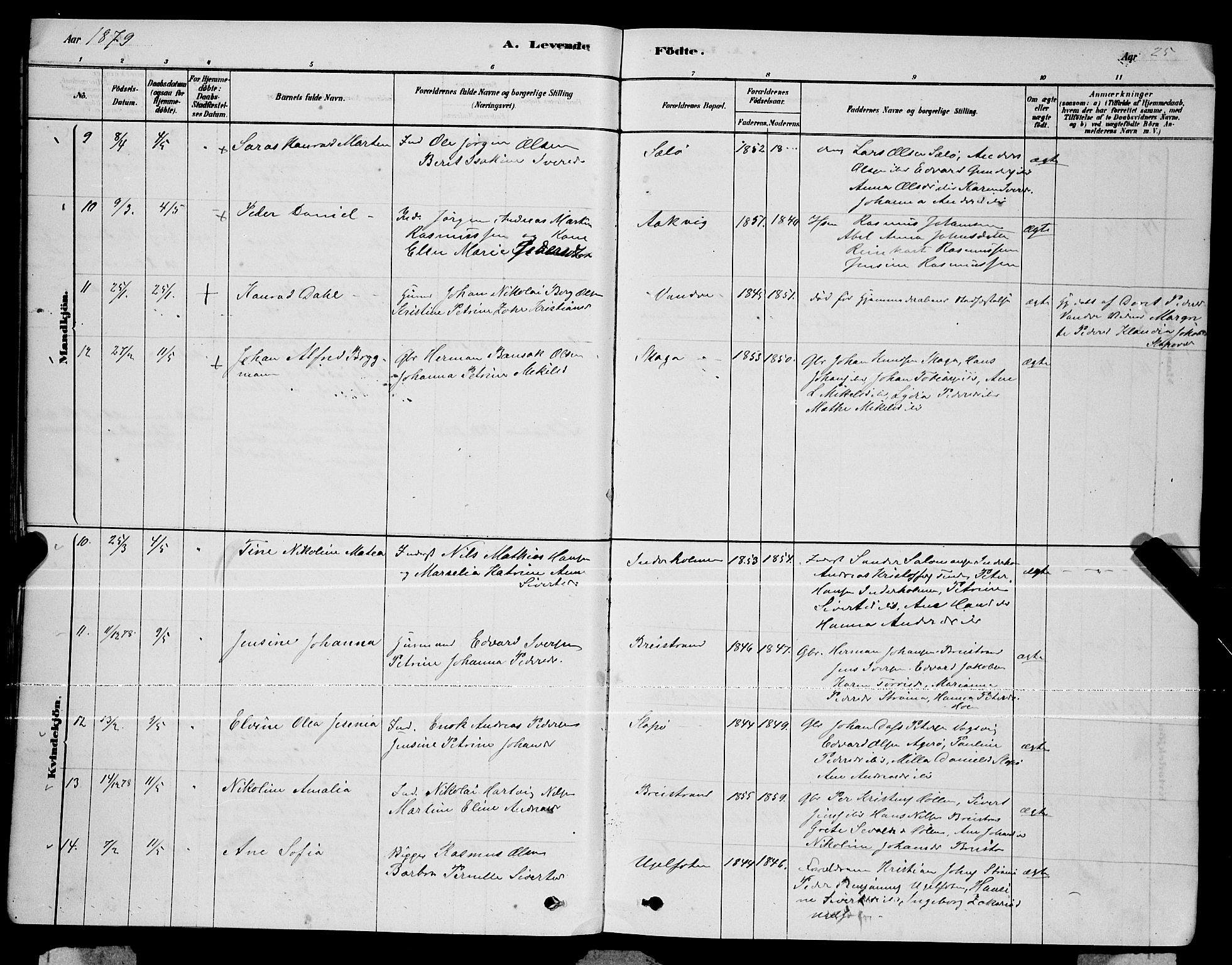 Ministerialprotokoller, klokkerbøker og fødselsregistre - Nordland, AV/SAT-A-1459/834/L0513: Parish register (copy) no. 834C04, 1877-1892, p. 25