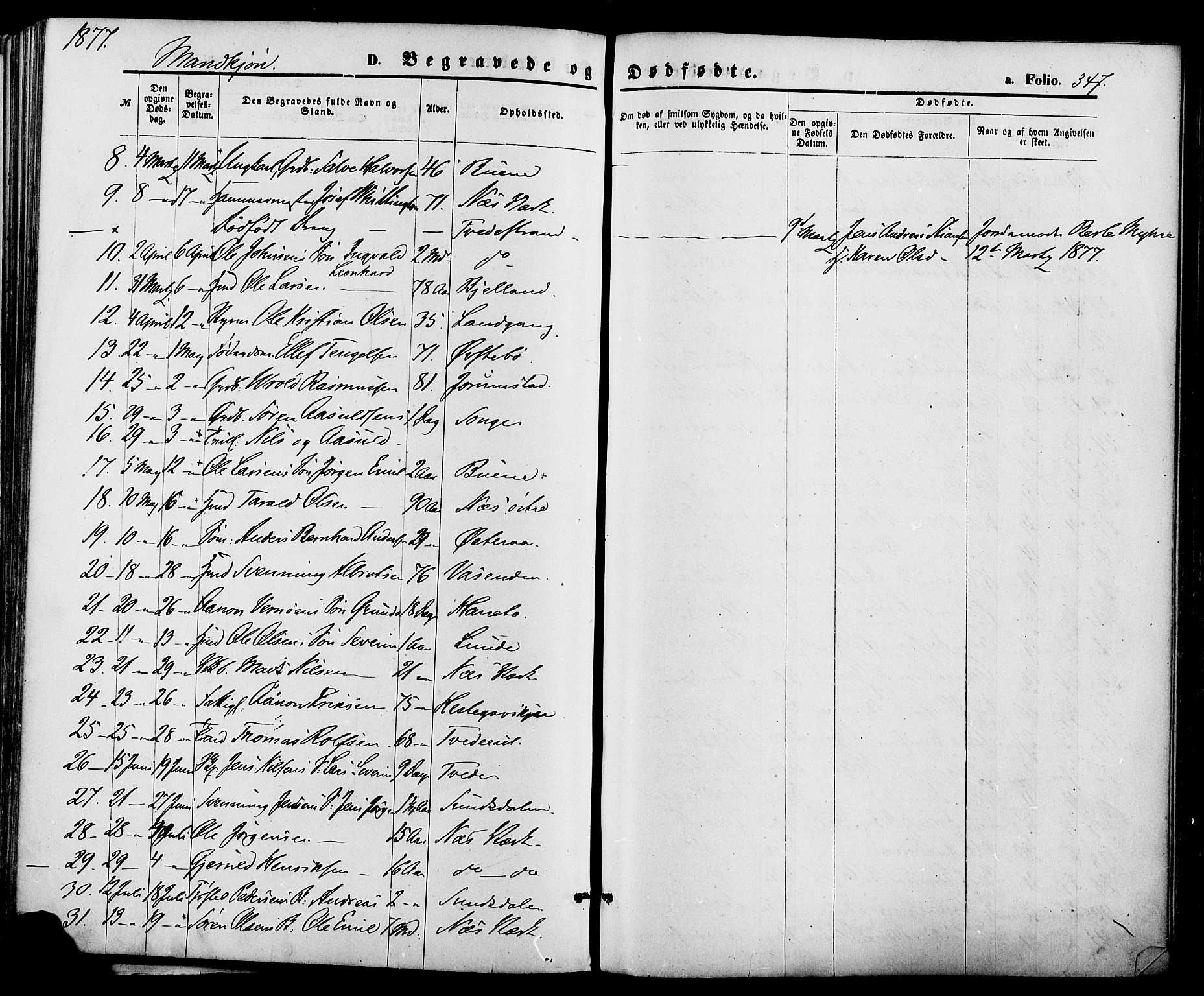 Holt sokneprestkontor, AV/SAK-1111-0021/F/Fa/L0010: Parish register (official) no. A 10, 1872-1885, p. 347