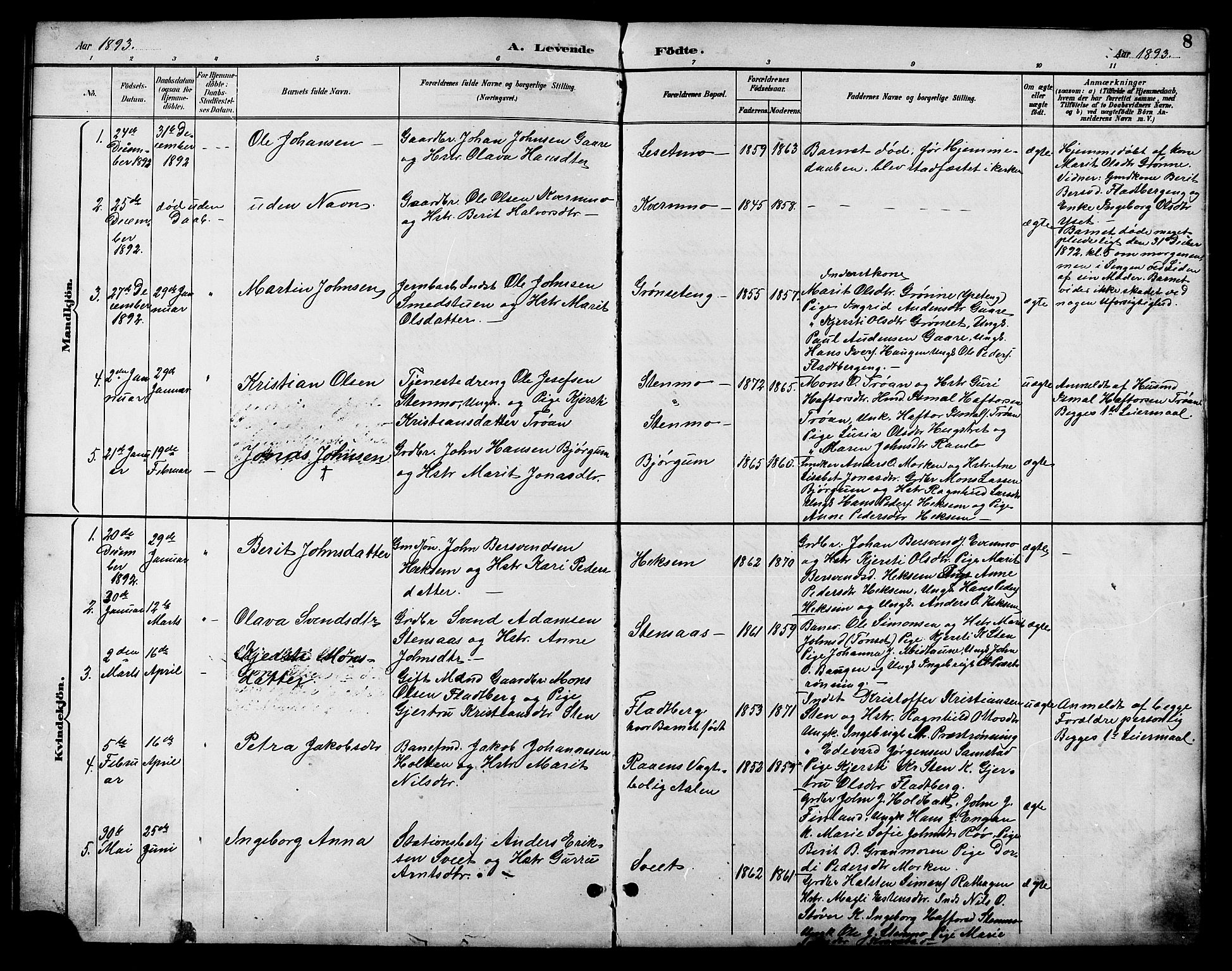 Ministerialprotokoller, klokkerbøker og fødselsregistre - Sør-Trøndelag, SAT/A-1456/685/L0978: Parish register (copy) no. 685C03, 1891-1907, p. 8