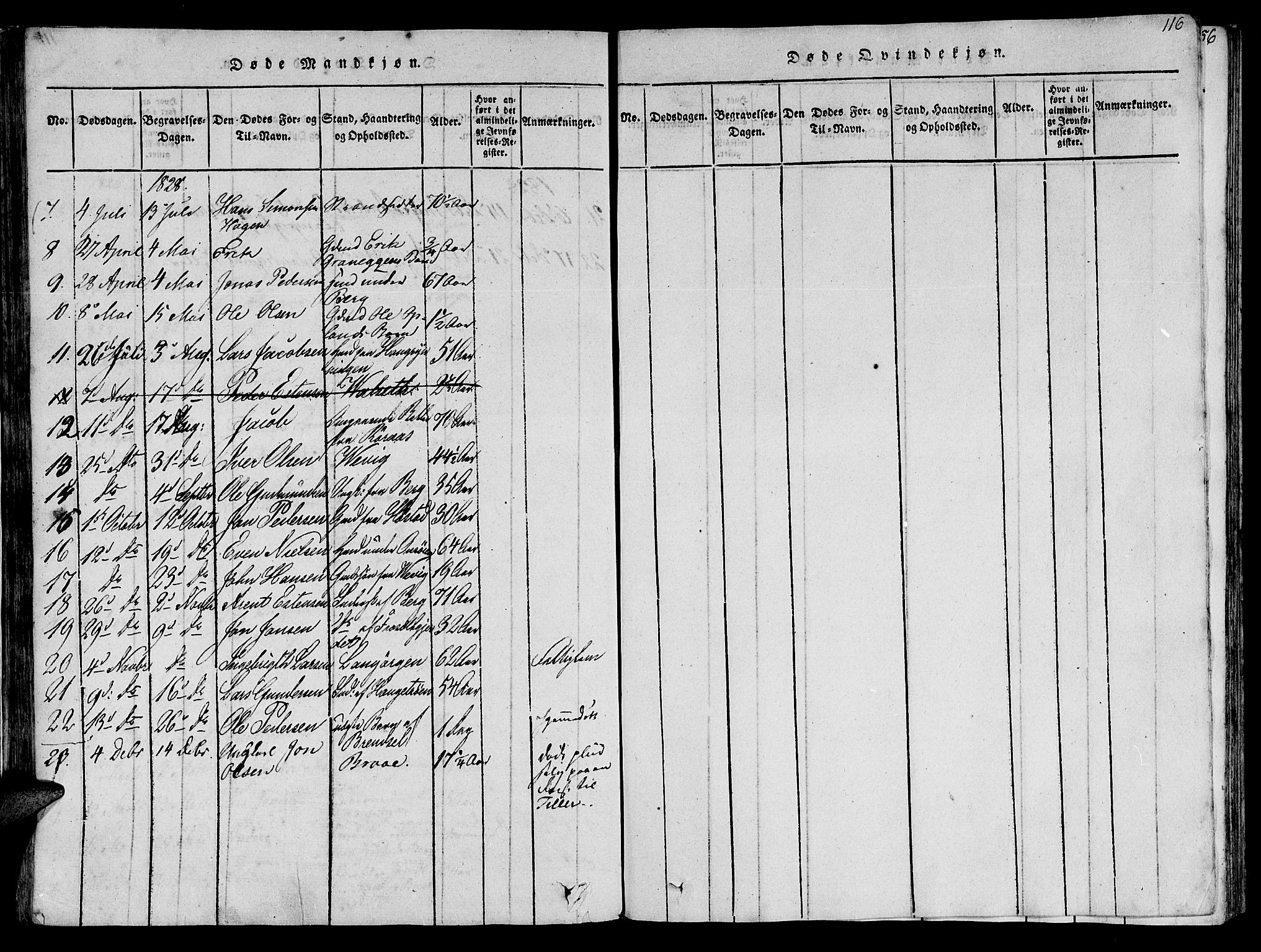 Ministerialprotokoller, klokkerbøker og fødselsregistre - Sør-Trøndelag, AV/SAT-A-1456/612/L0372: Parish register (official) no. 612A06 /1, 1816-1828, p. 116