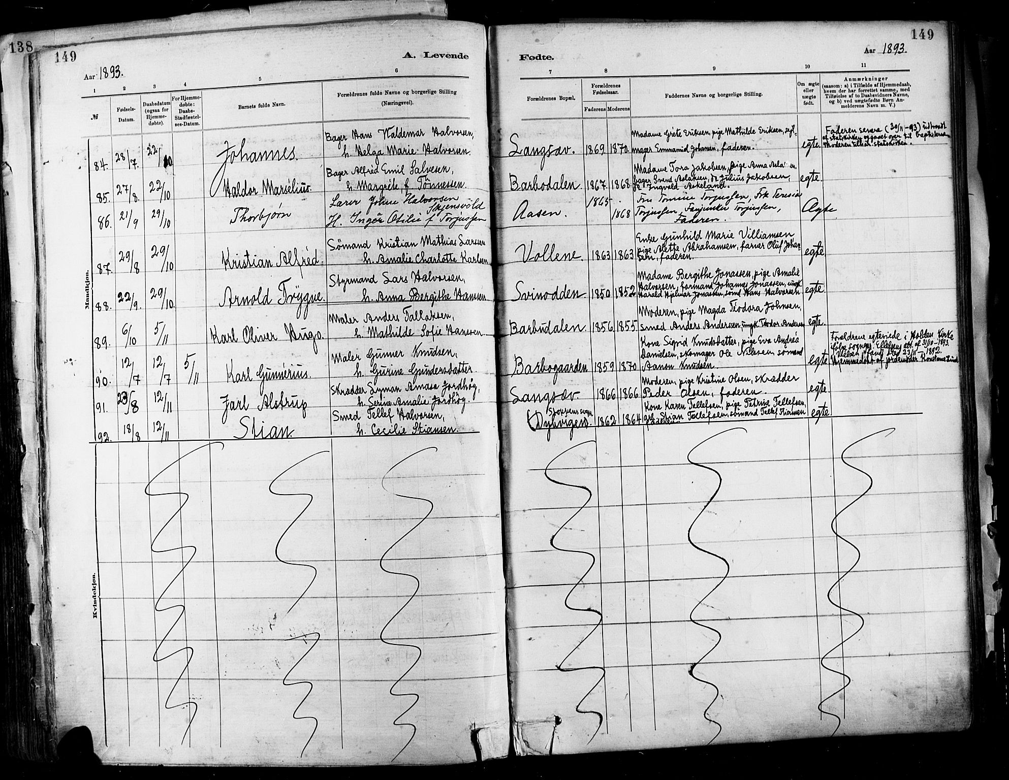 Barbu sokneprestkontor, AV/SAK-1111-0003/F/Fa/L0002: Parish register (official) no. A 2, 1883-1898, p. 149