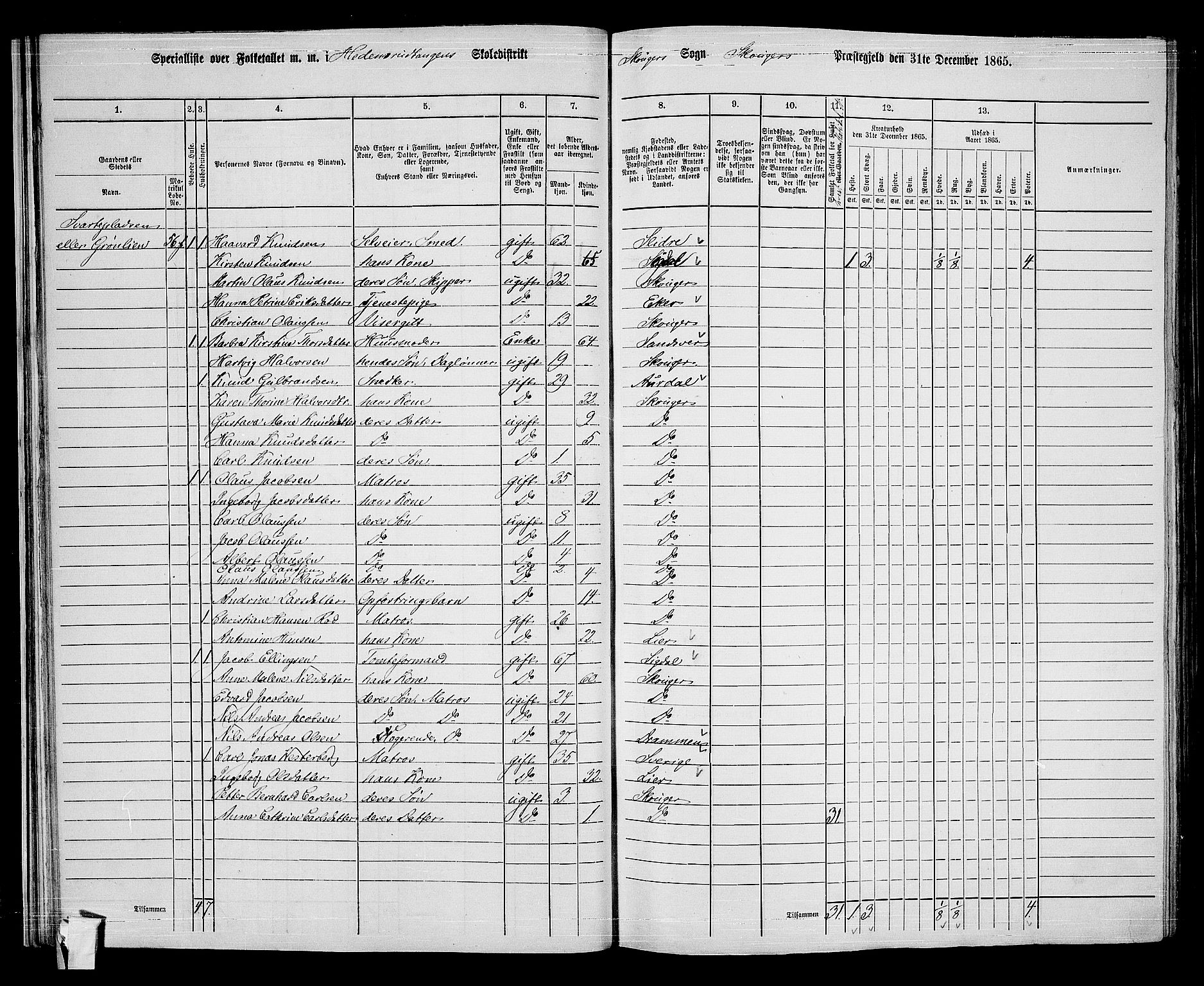 RA, 1865 census for Skoger, 1865, p. 36