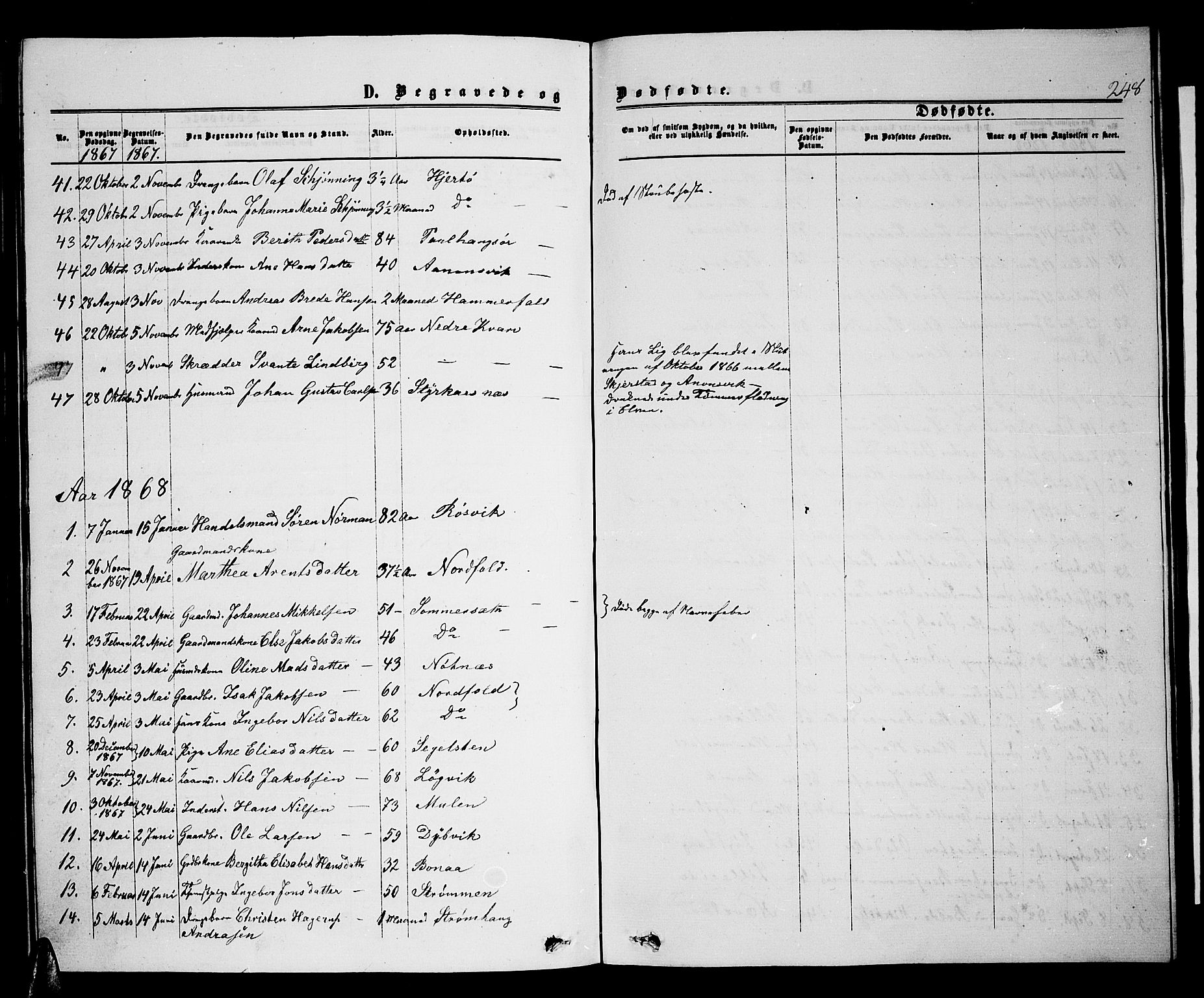 Ministerialprotokoller, klokkerbøker og fødselsregistre - Nordland, AV/SAT-A-1459/853/L0775: Parish register (copy) no. 853C03, 1859-1877, p. 248