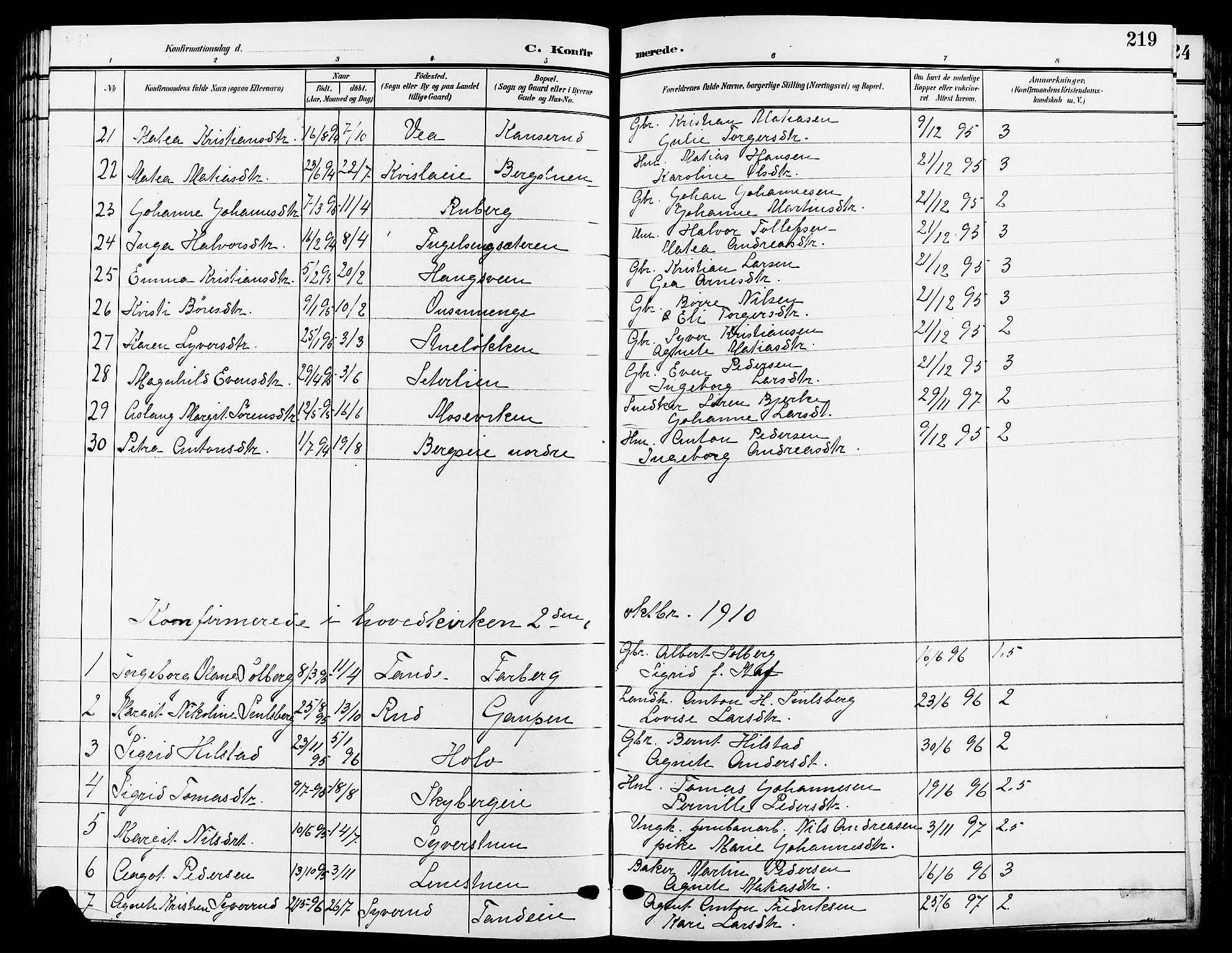 Ringsaker prestekontor, SAH/PREST-014/L/La/L0015: Parish register (copy) no. 15, 1903-1912, p. 219