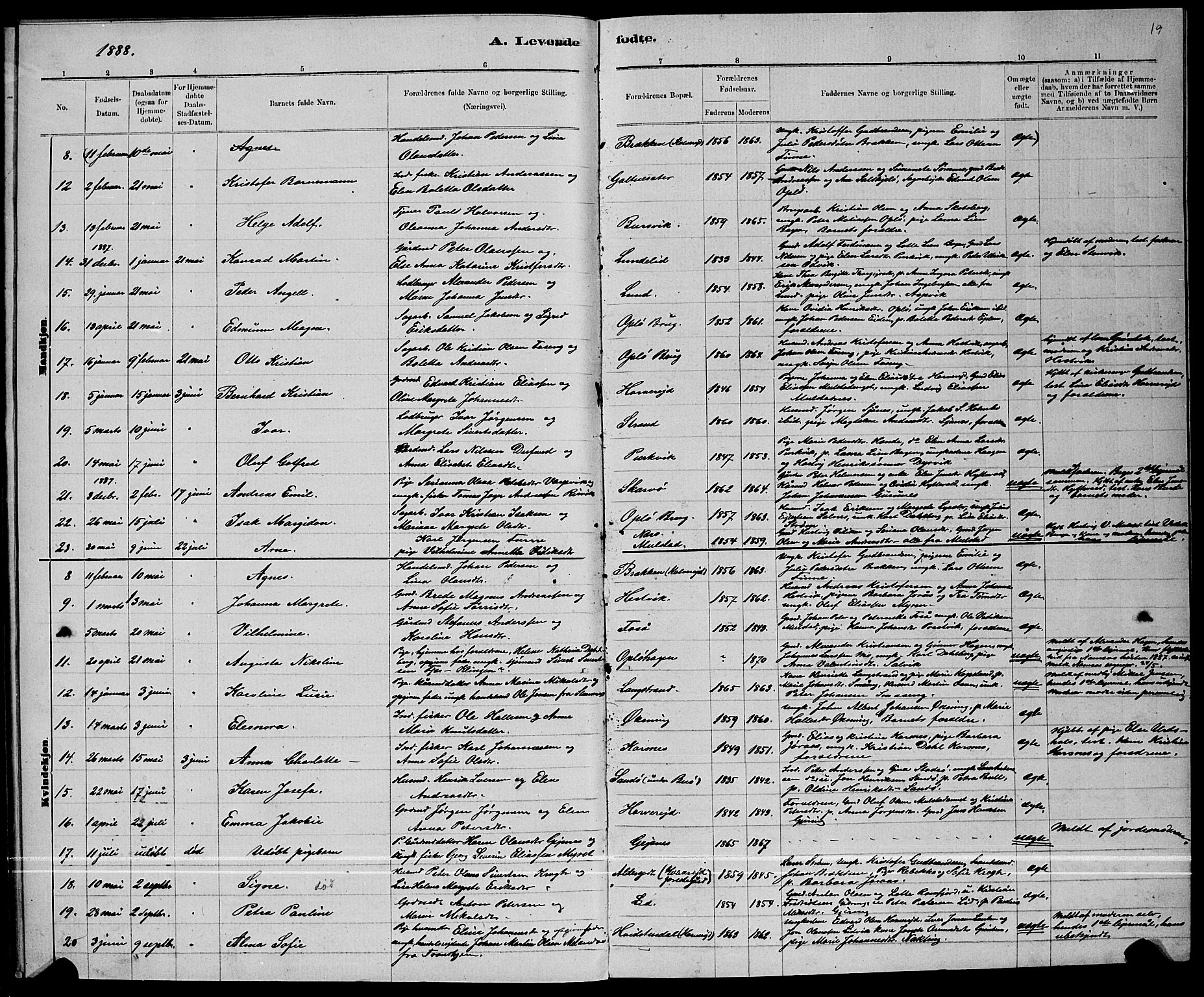 Ministerialprotokoller, klokkerbøker og fødselsregistre - Nord-Trøndelag, SAT/A-1458/780/L0651: Parish register (copy) no. 780C03, 1884-1898, p. 19
