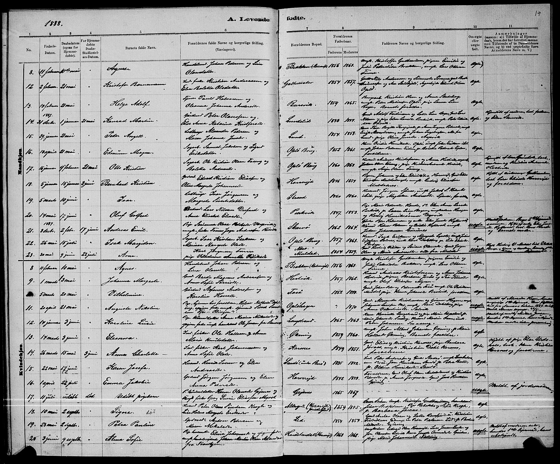 Ministerialprotokoller, klokkerbøker og fødselsregistre - Nord-Trøndelag, AV/SAT-A-1458/780/L0651: Parish register (copy) no. 780C03, 1884-1898, p. 19