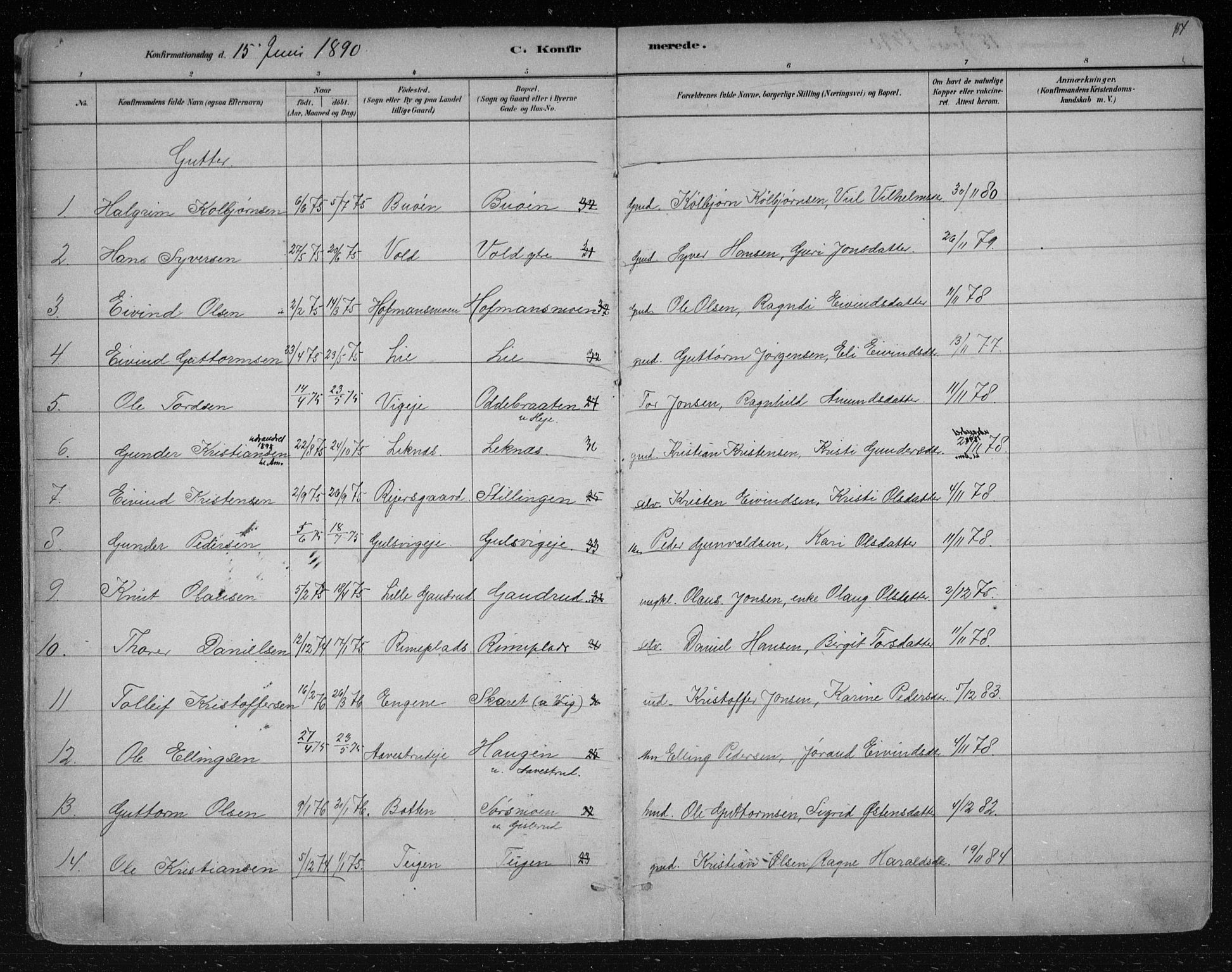 Nes kirkebøker, SAKO/A-236/F/Fa/L0012: Parish register (official) no. 12, 1881-1917, p. 184