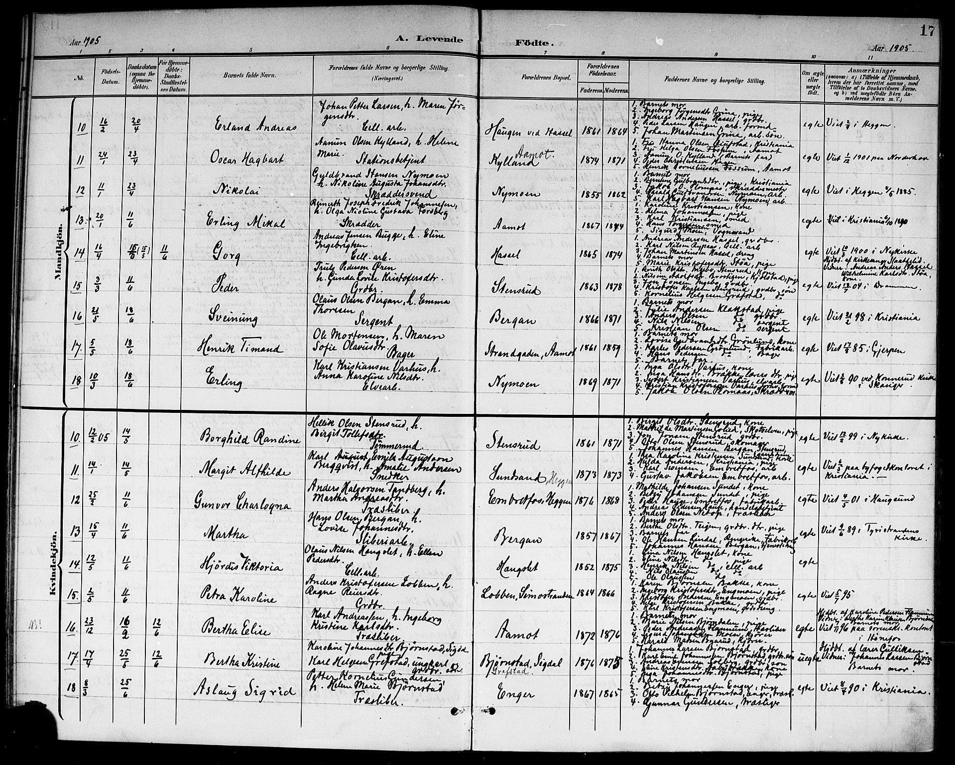 Modum kirkebøker, AV/SAKO-A-234/G/Gc/L0001: Parish register (copy) no. III 1, 1901-1919, p. 17