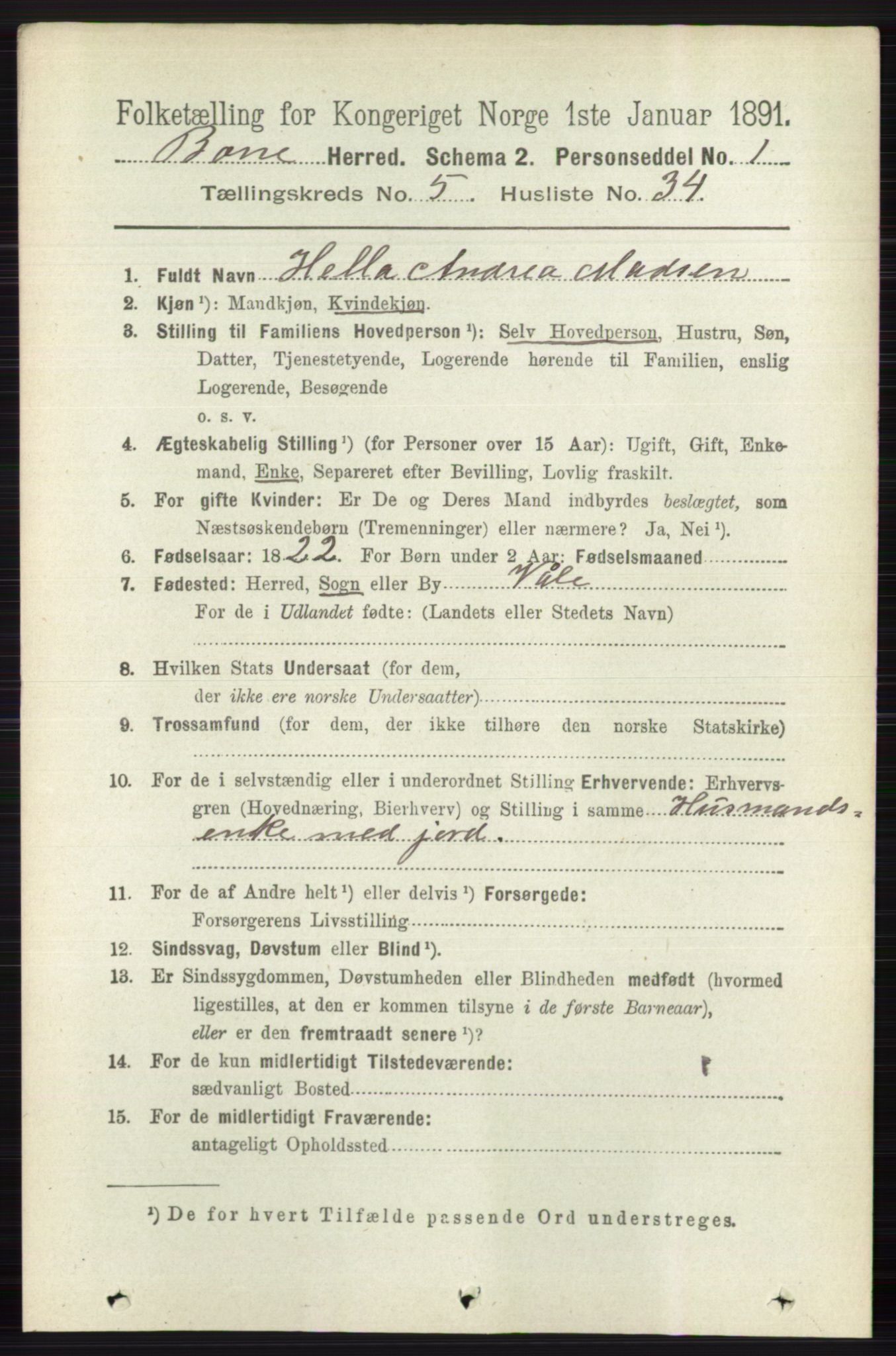 RA, 1891 census for 0717 Borre, 1891, p. 2217