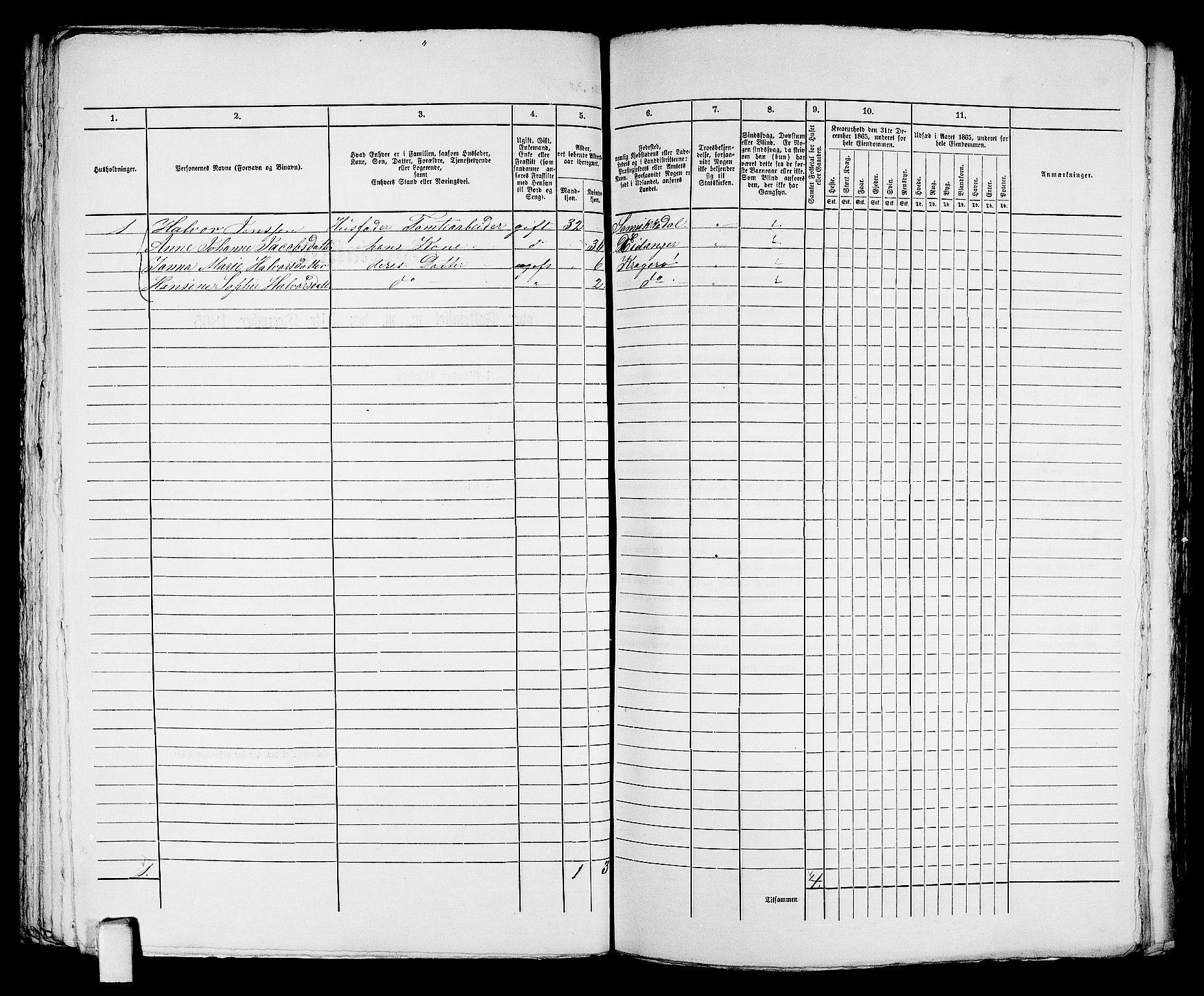 RA, 1865 census for Kragerø/Kragerø, 1865, p. 204