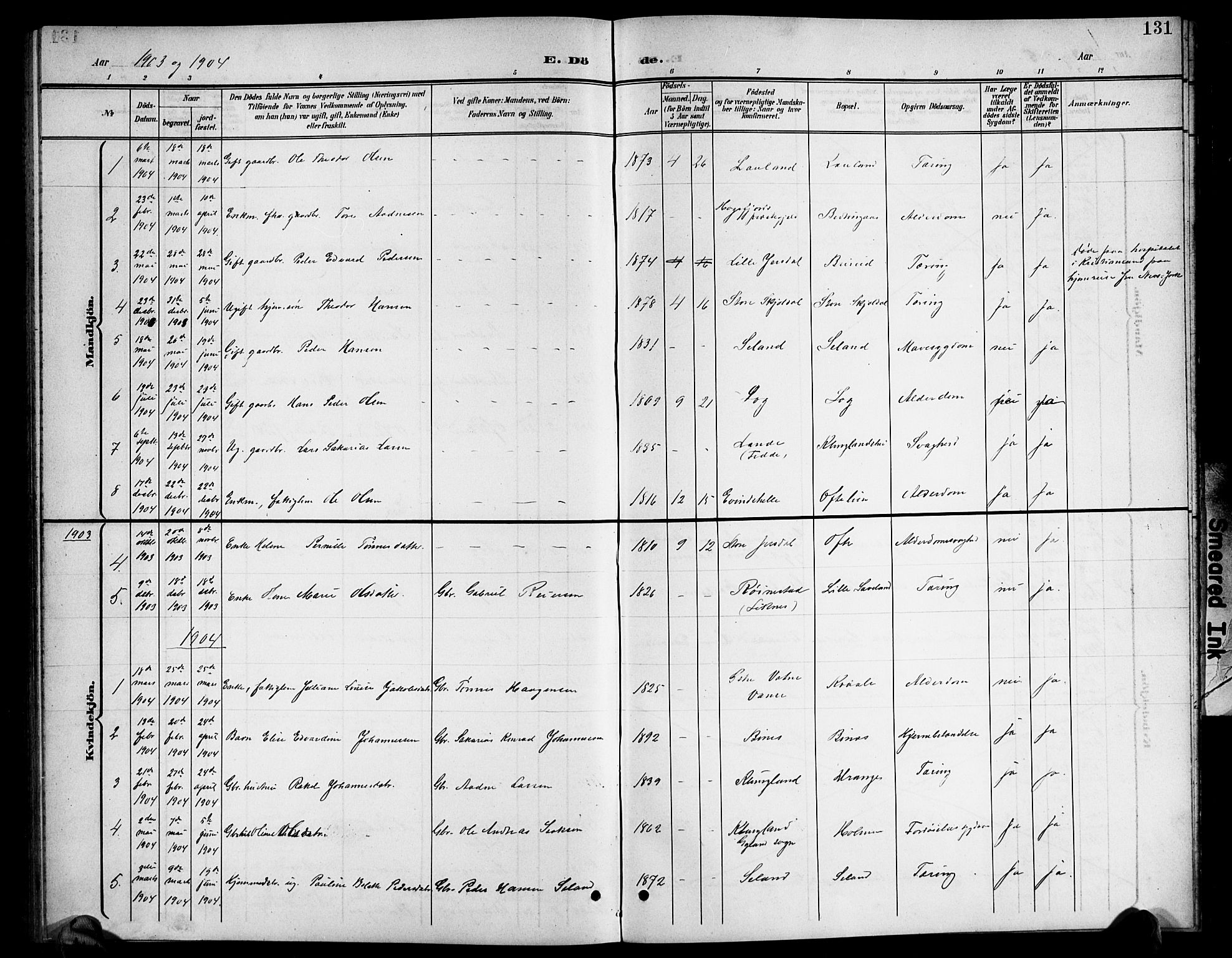 Herad sokneprestkontor, AV/SAK-1111-0018/F/Fb/Fba/L0005: Parish register (copy) no. B 5, 1899-1921, p. 131