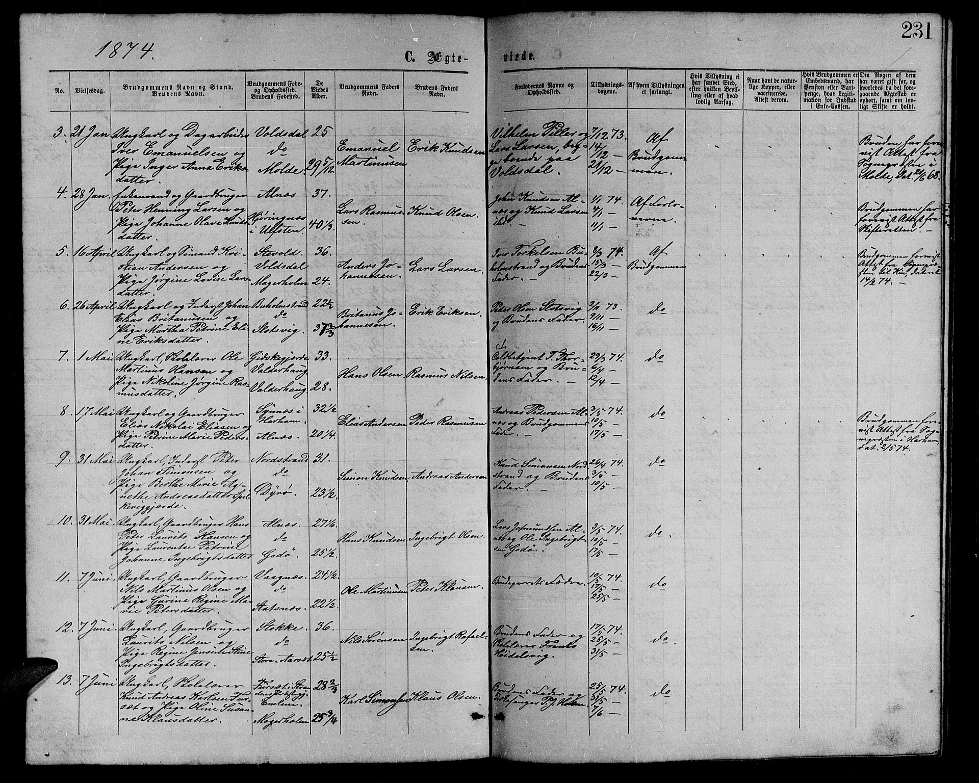 Ministerialprotokoller, klokkerbøker og fødselsregistre - Møre og Romsdal, AV/SAT-A-1454/528/L0428: Parish register (copy) no. 528C09, 1864-1880, p. 231