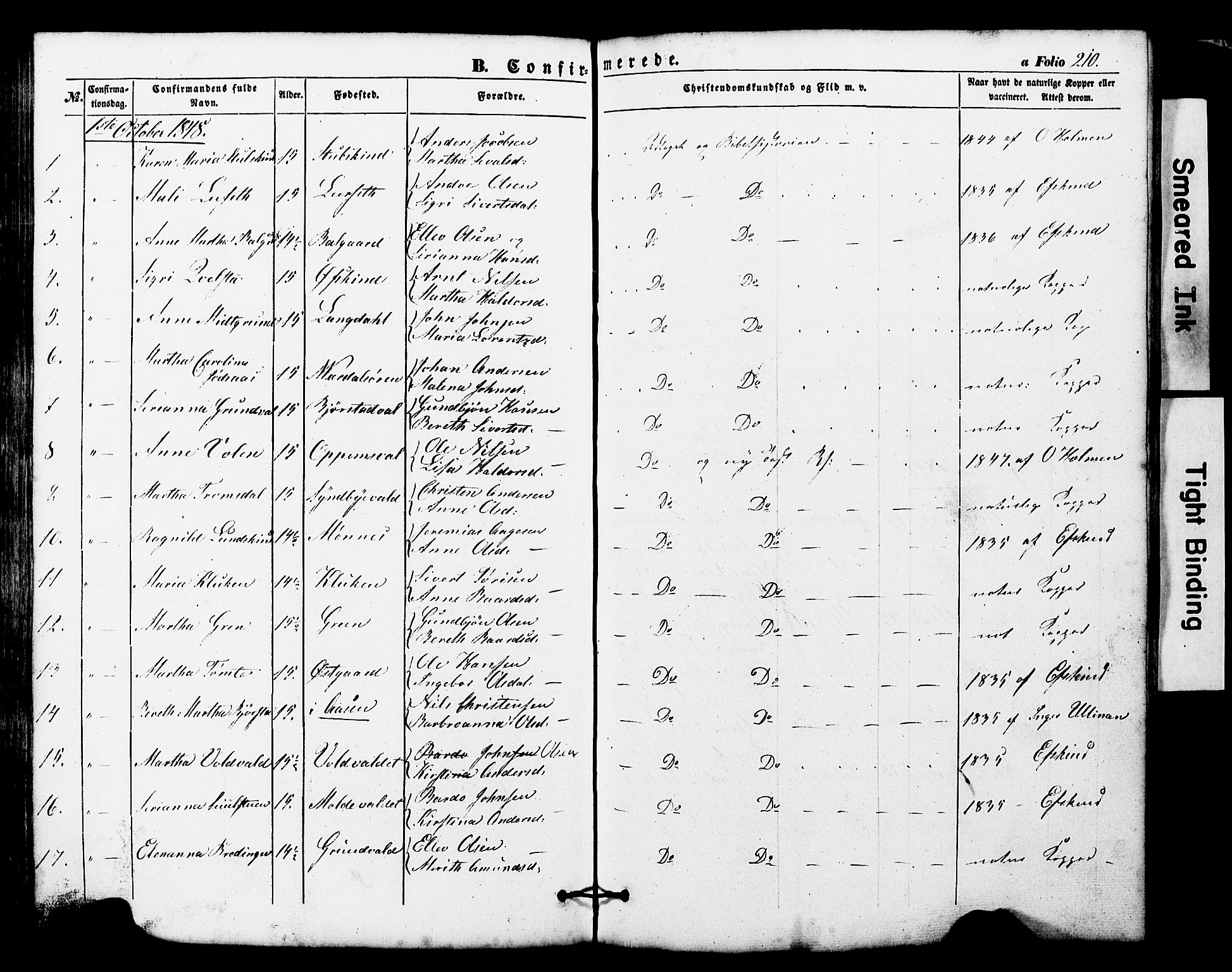 Ministerialprotokoller, klokkerbøker og fødselsregistre - Nord-Trøndelag, SAT/A-1458/724/L0268: Parish register (copy) no. 724C04, 1846-1878, p. 210
