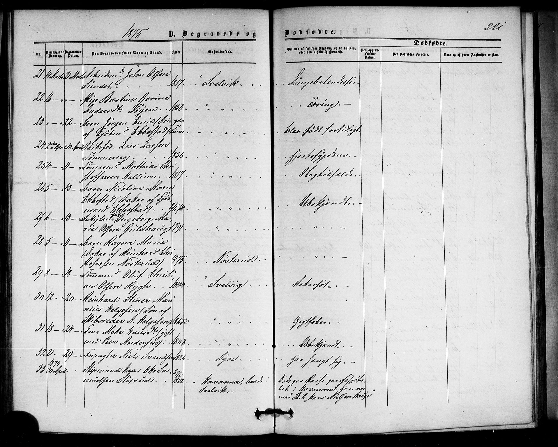 Strømm kirkebøker, AV/SAKO-A-322/F/Fa/L0002: Parish register (official) no. I 2, 1870-1877, p. 221